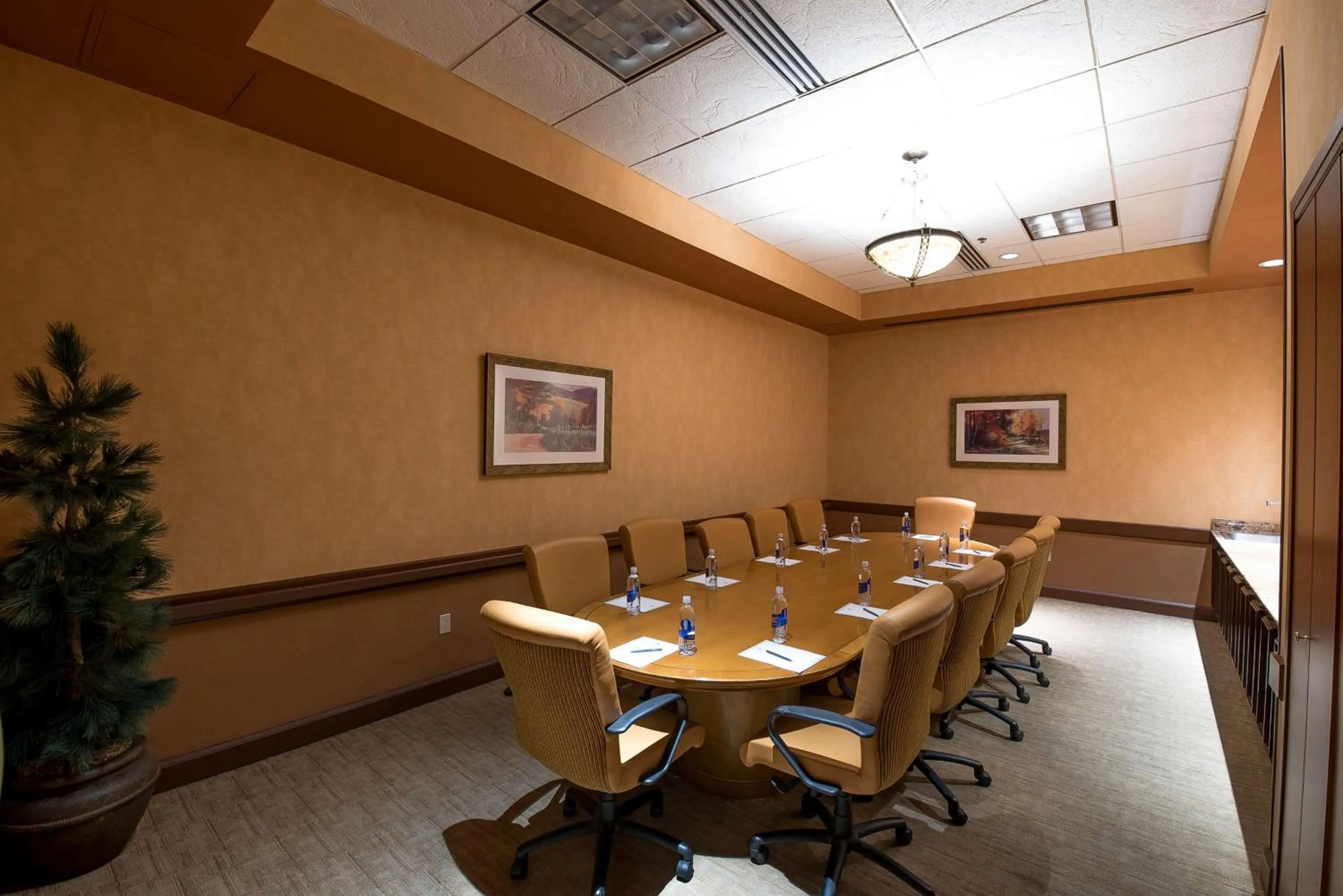 Meeting/conference room in Embassy Suites by Hilton Albuquerque
