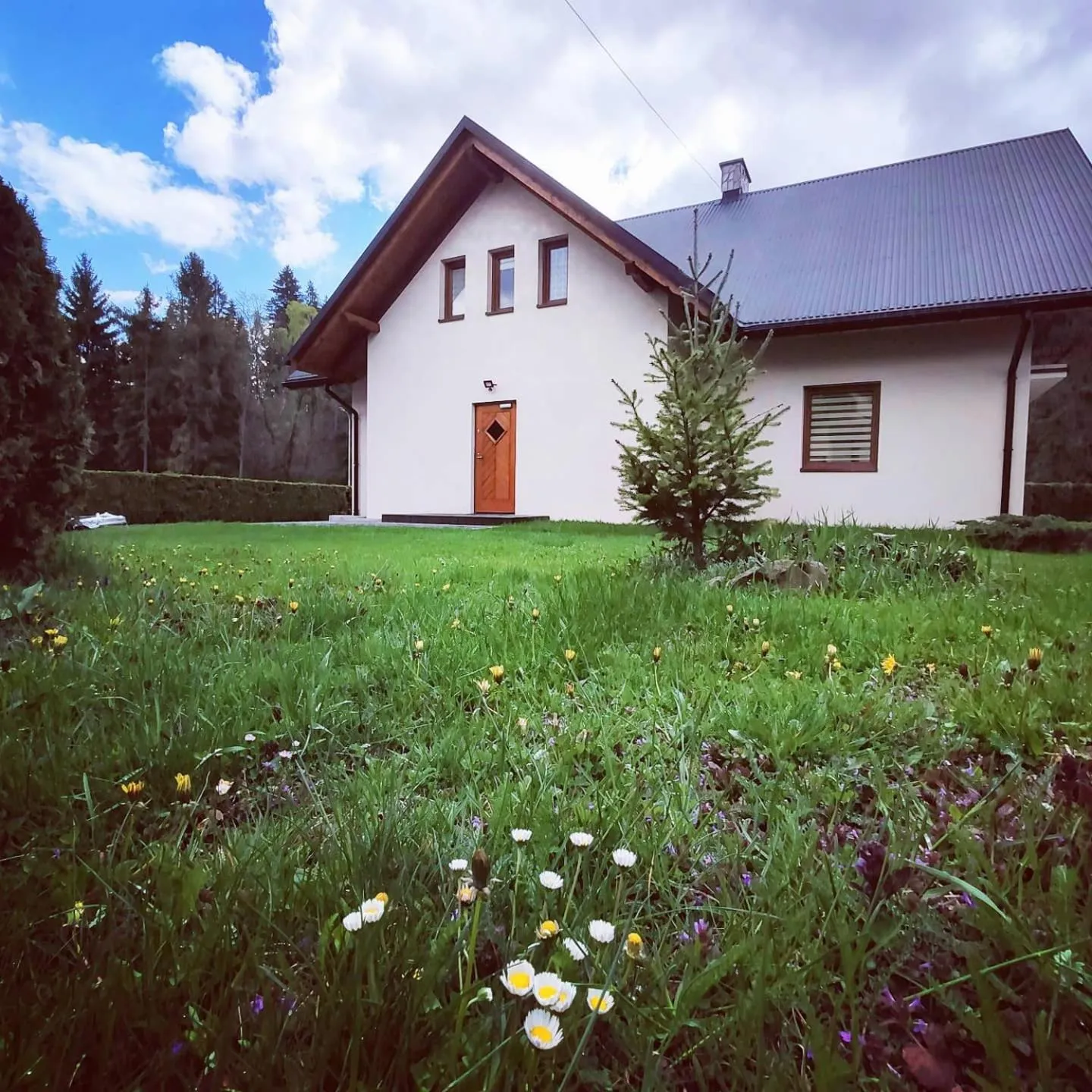 Property building in Domek Plaster Miodu