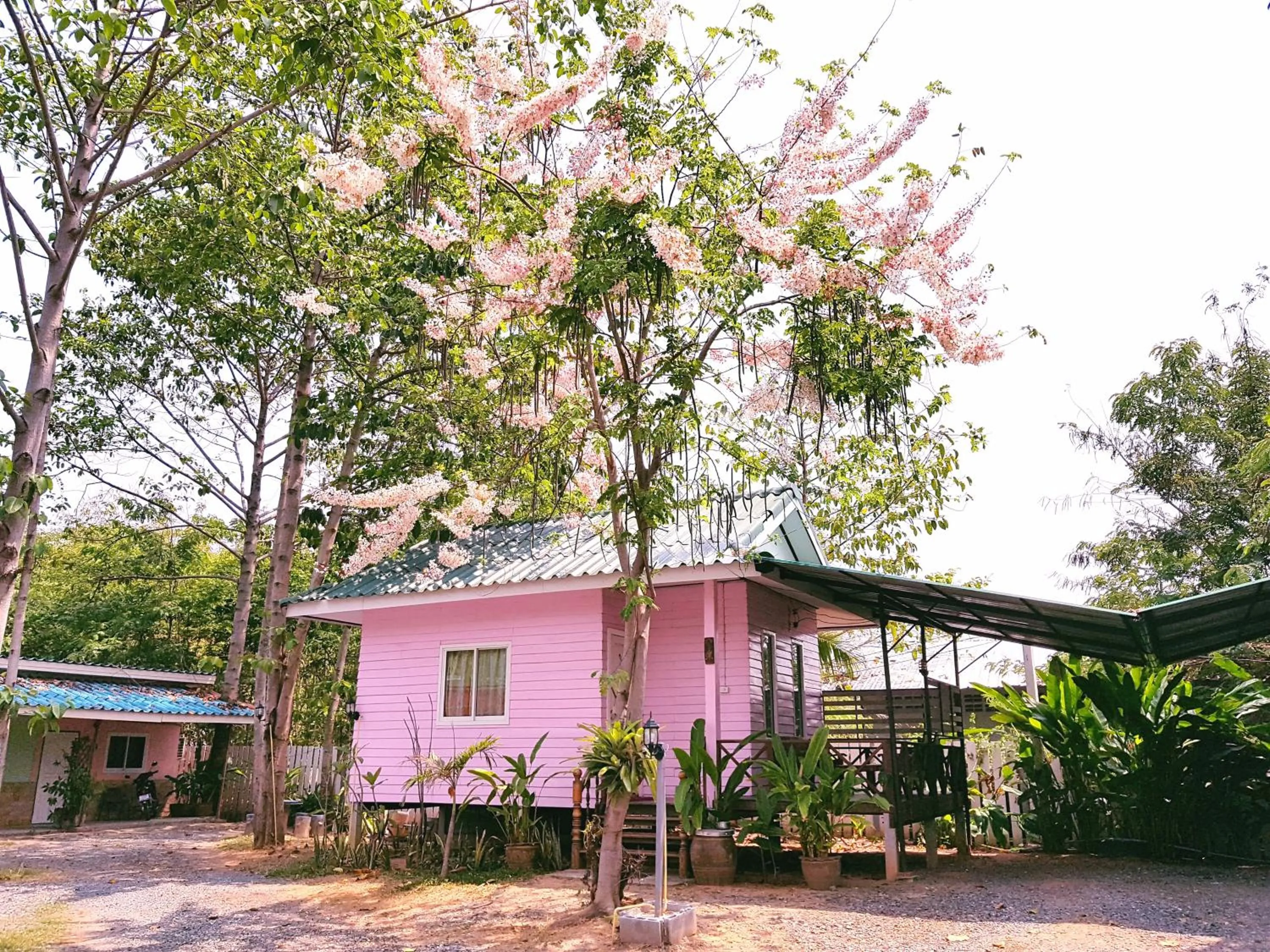 Patio in Greenhouse resort