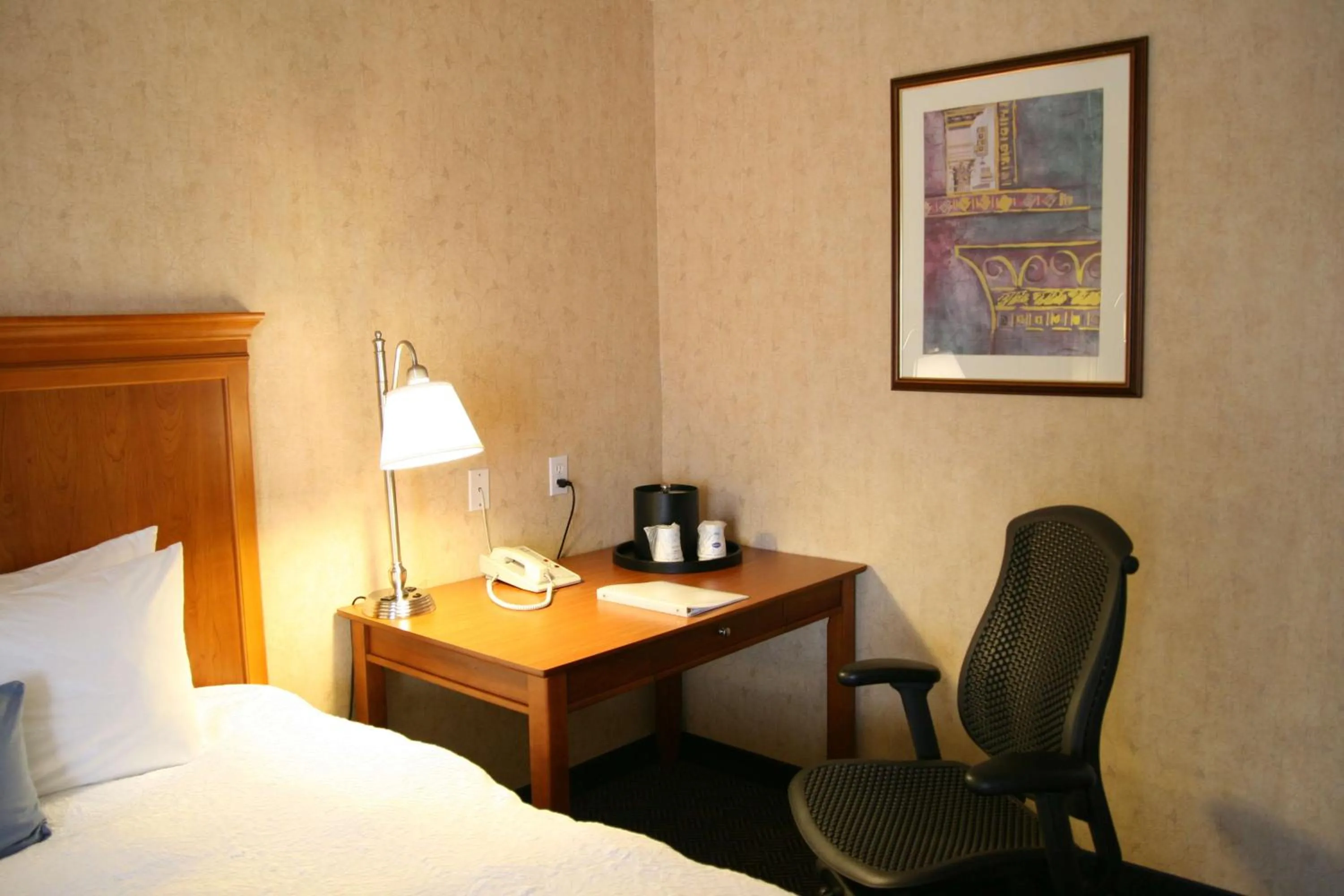 Bed in Hampton Inn San Marcos