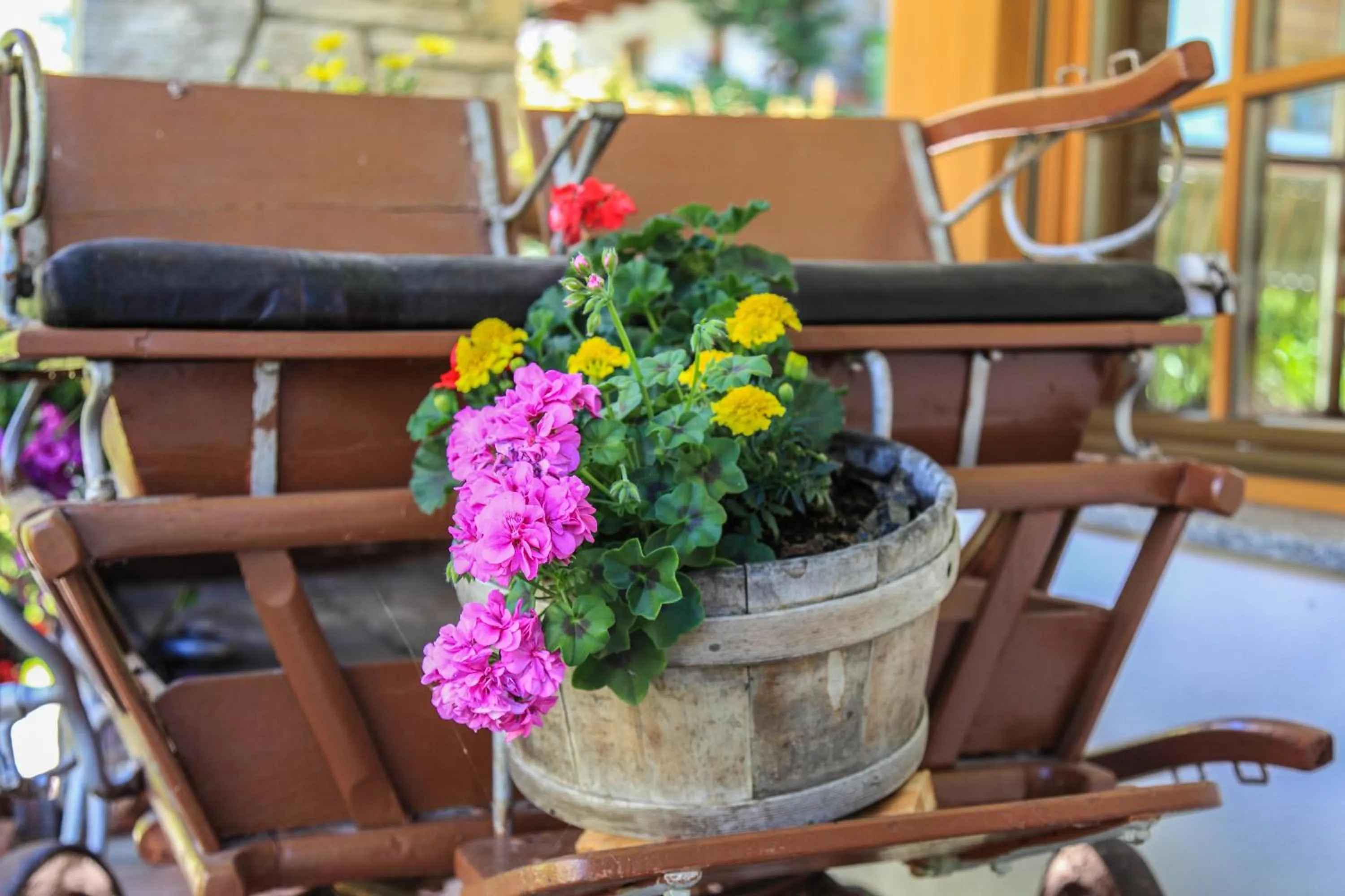 Facade/entrance in Garni des Alpes