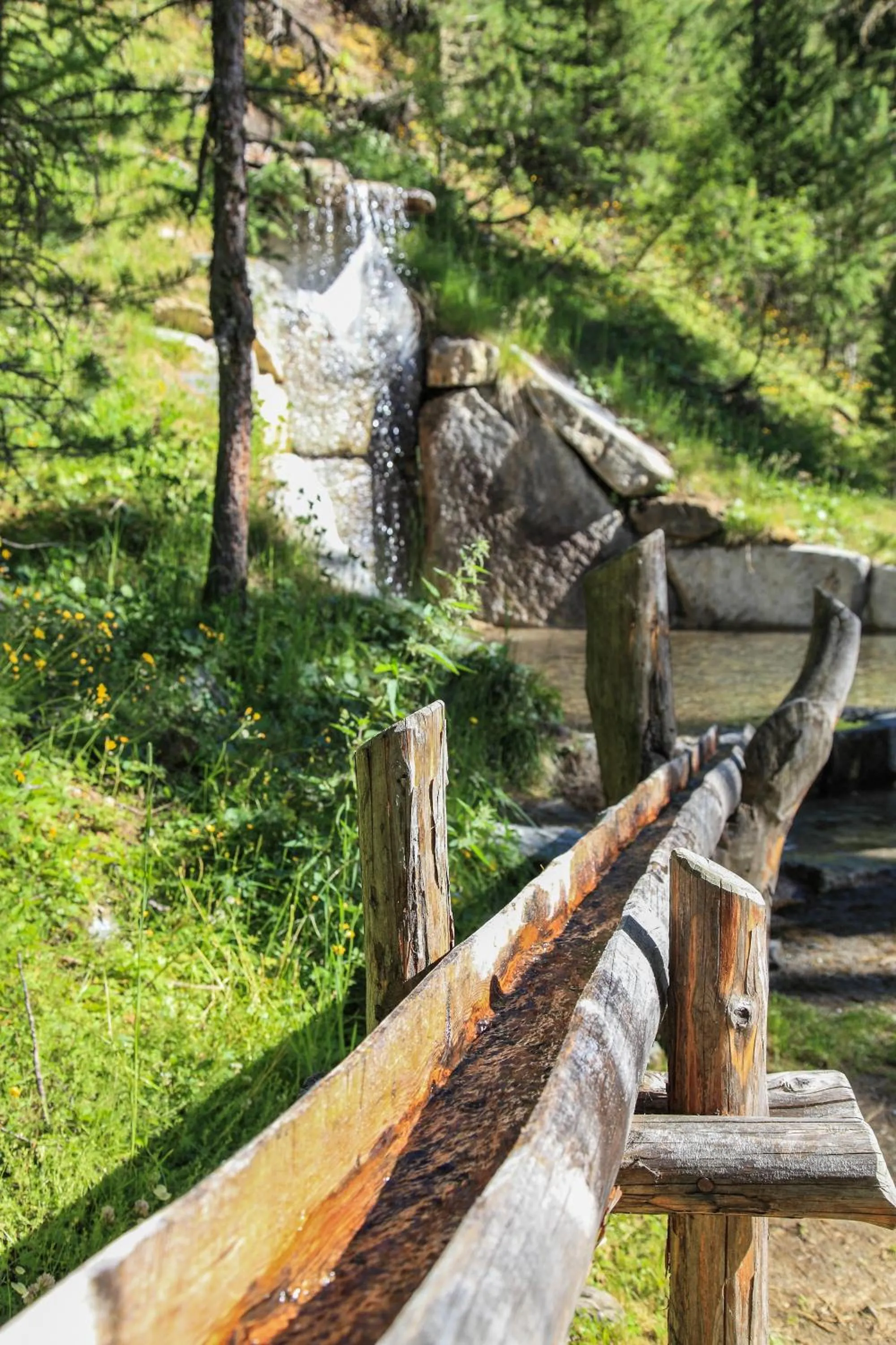 Entertainment in Garni des Alpes