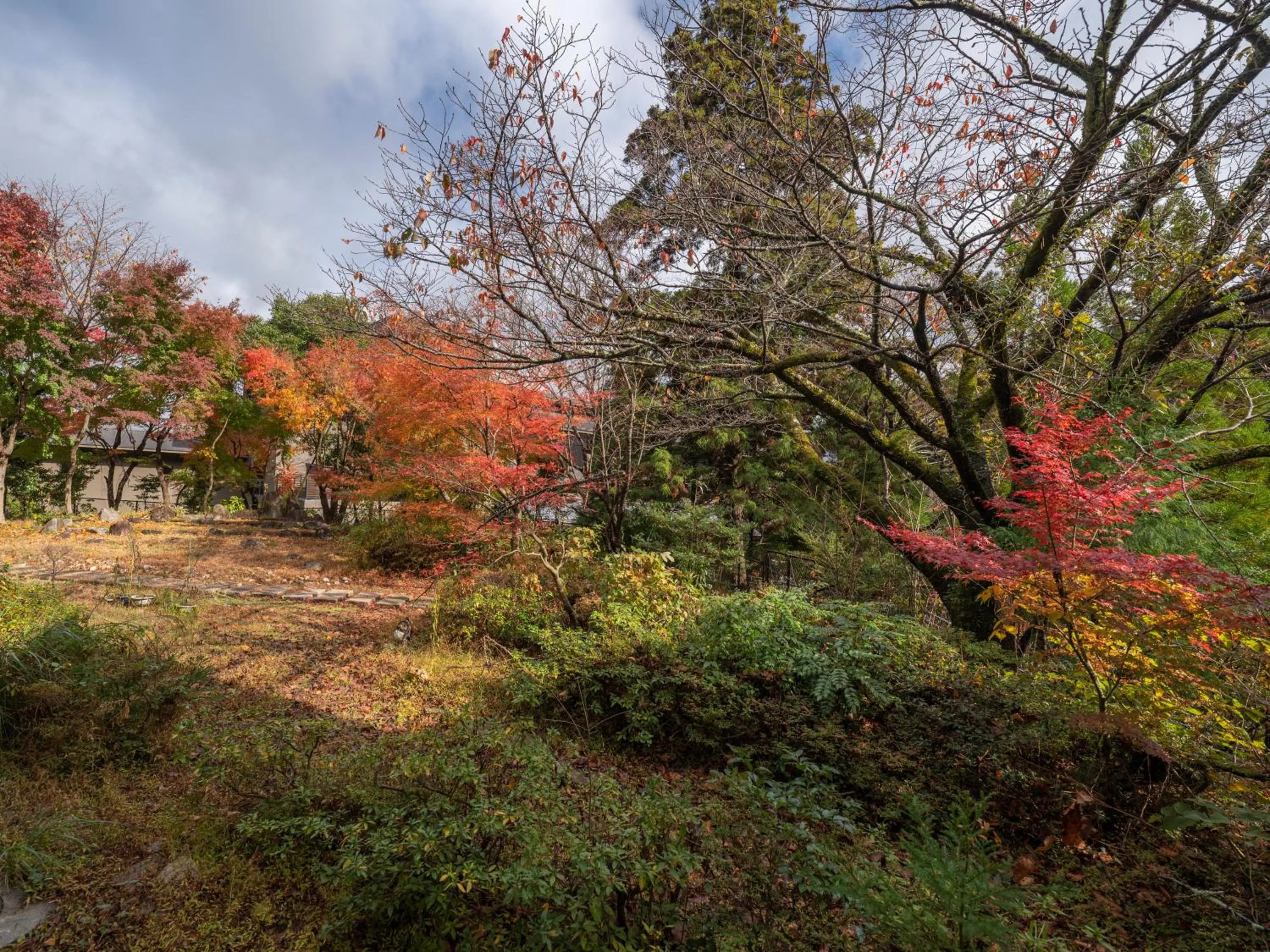 View (from property/room) in KAMENOI HOTEL Arima