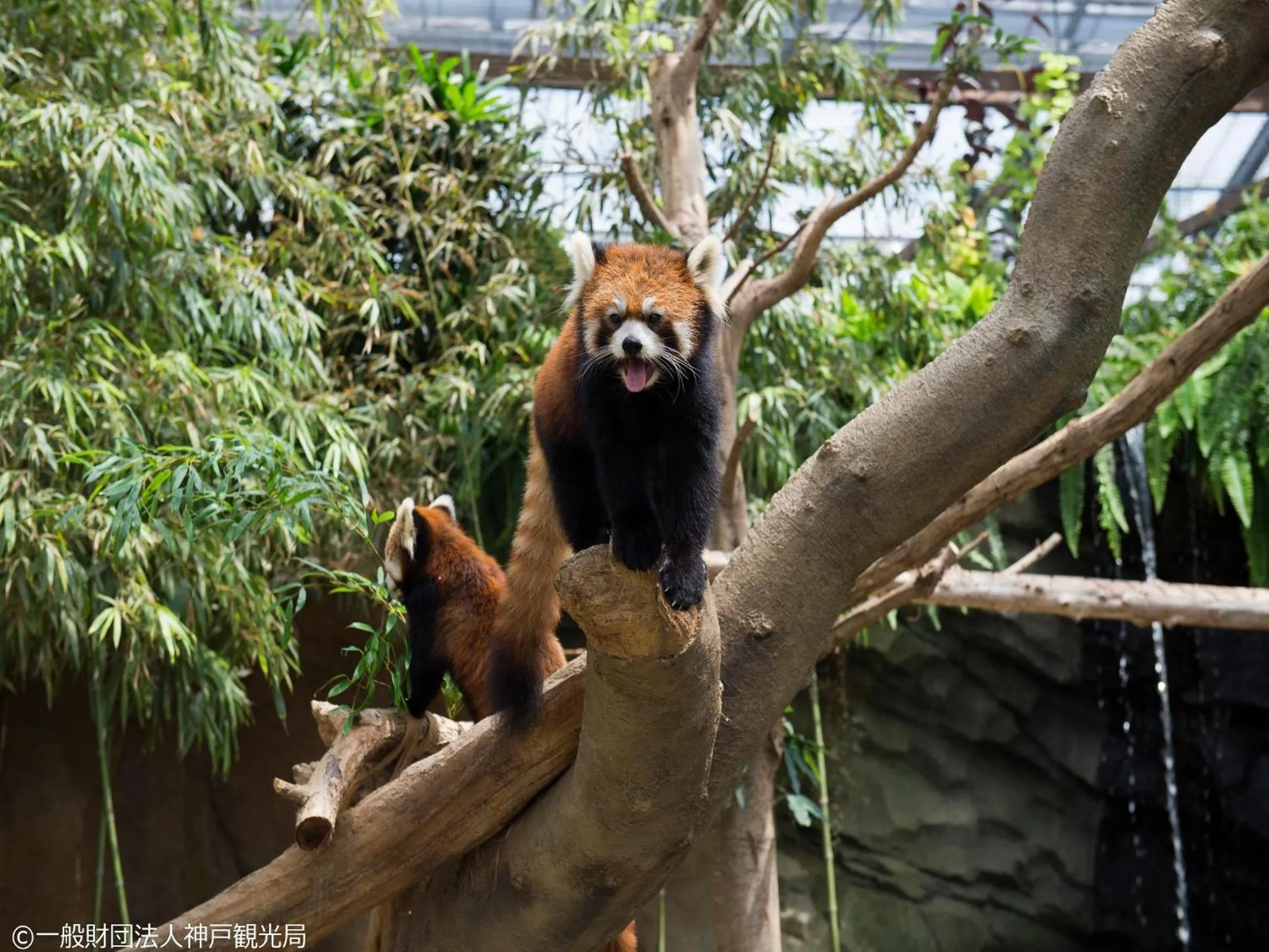 Nearby landmark in KAMENOI HOTEL Arima