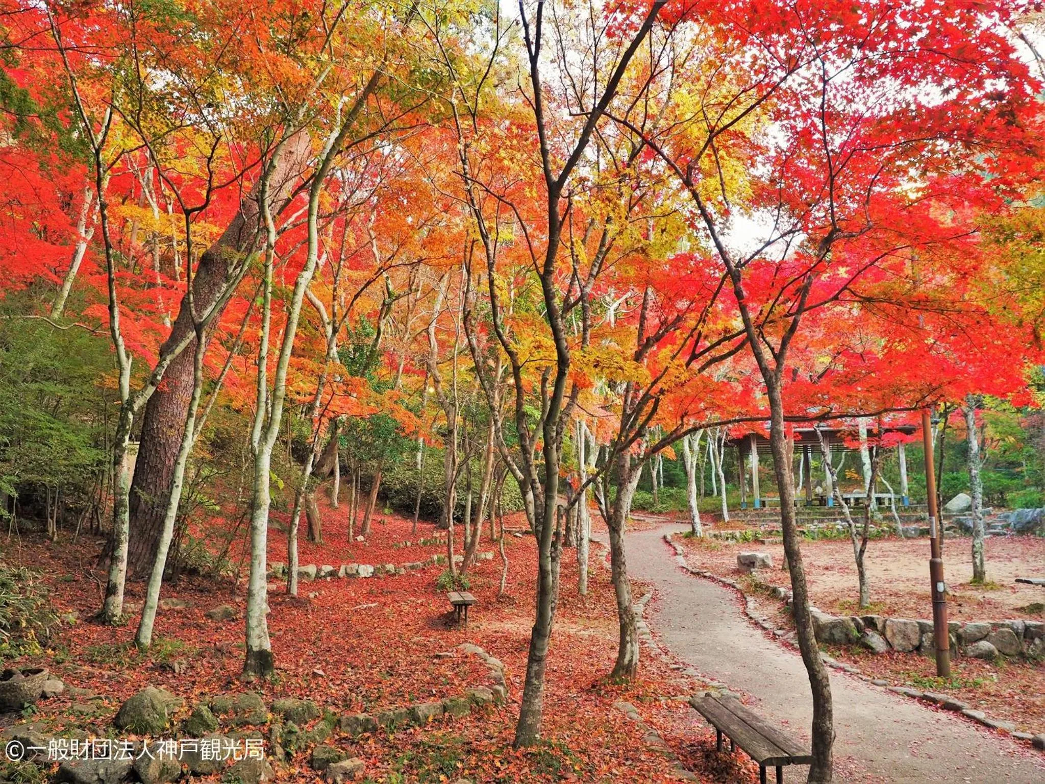 Nearby landmark in KAMENOI HOTEL Arima