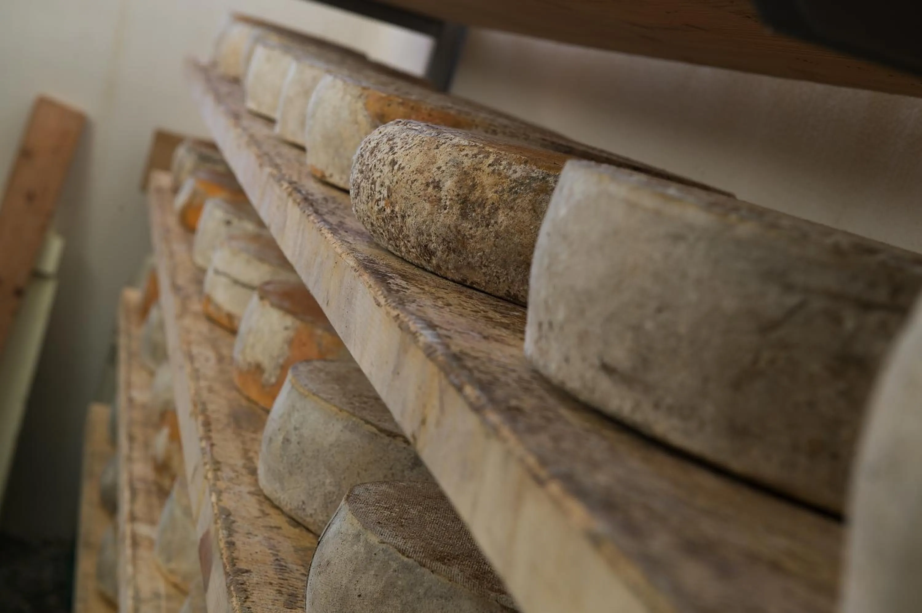 Food close-up in Hotel Gallo Cedrone