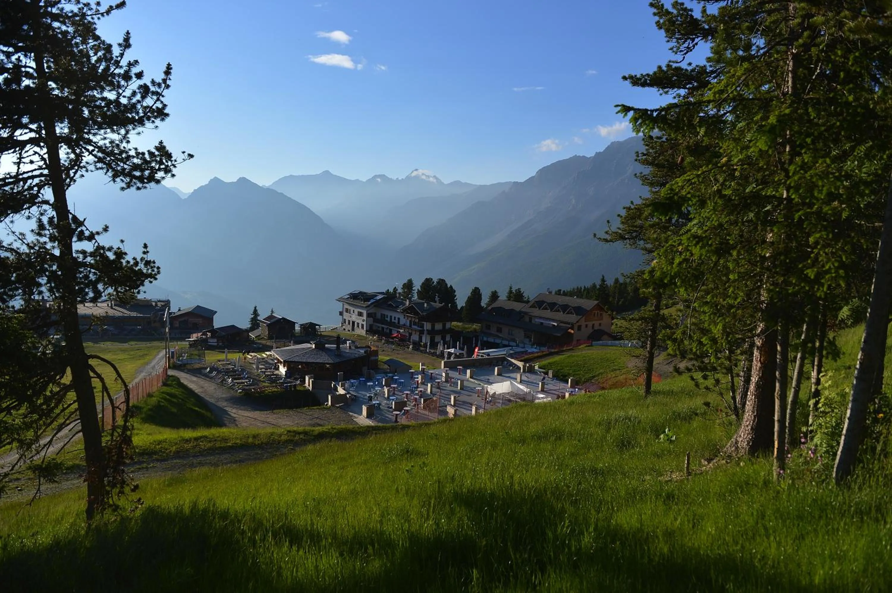 Garden in Hotel Gallo Cedrone