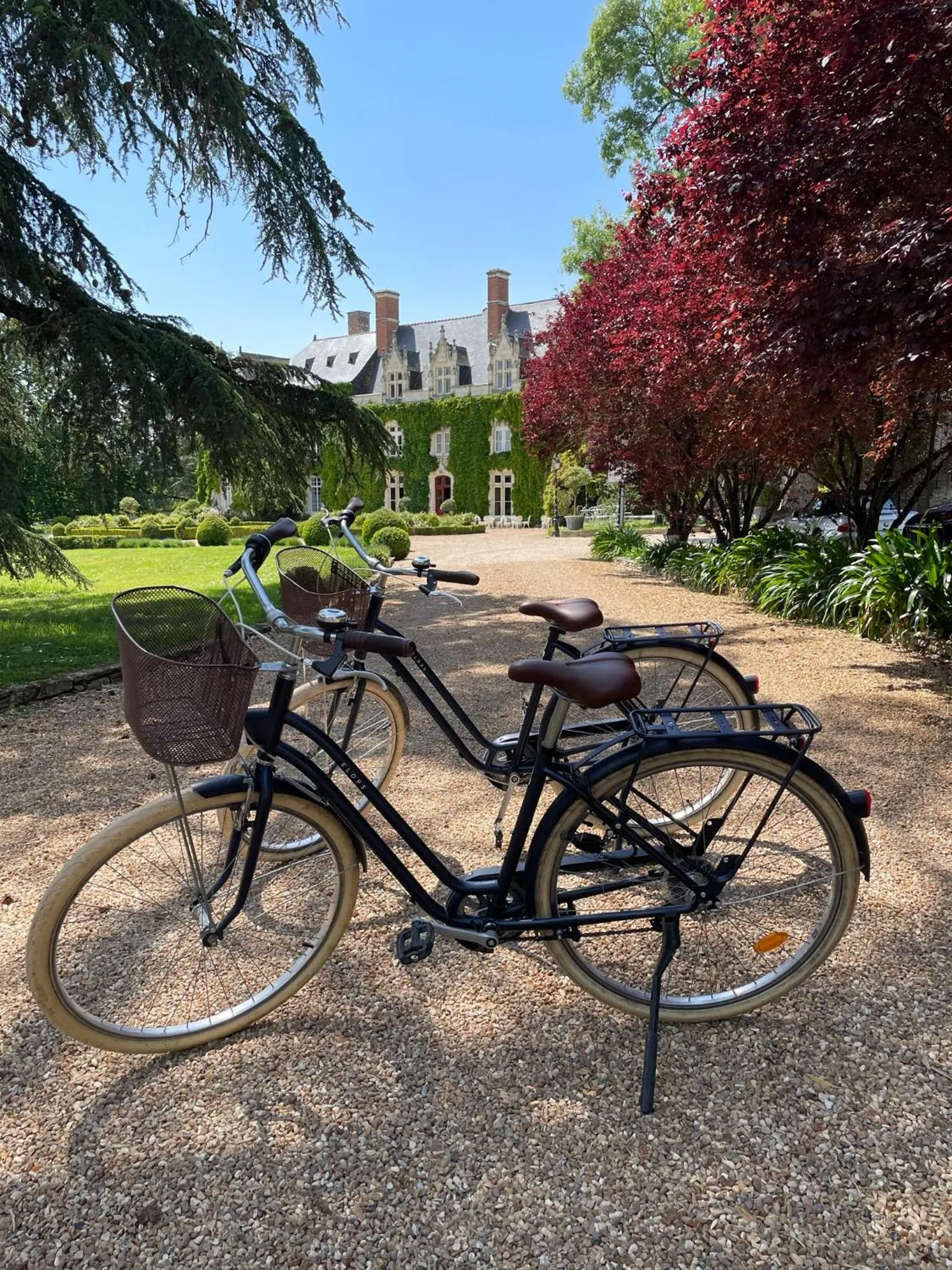 Natural landscape in Château de l'Epinay