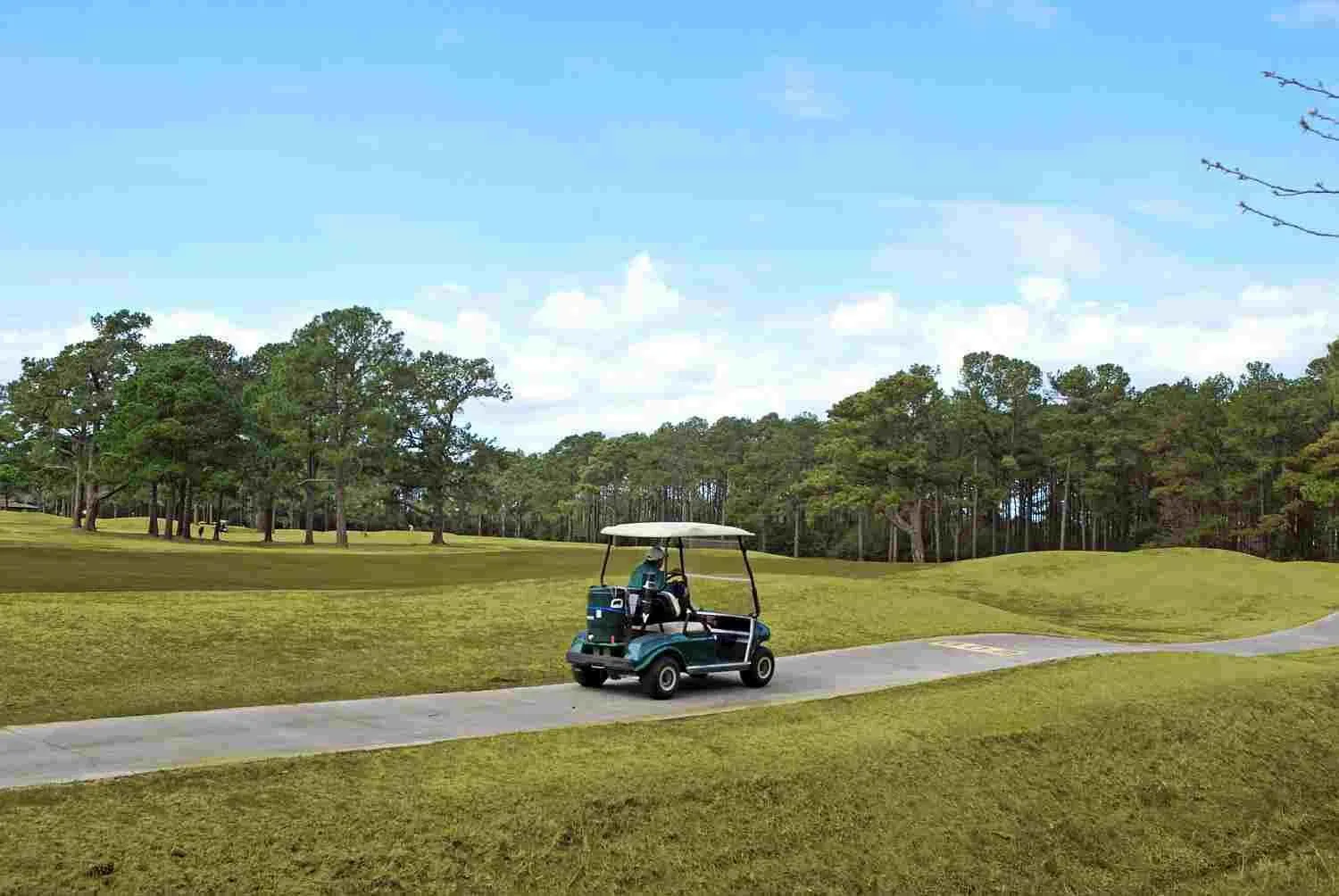 Golfcourse in Magnolia Pointe by Palmetto Vacations