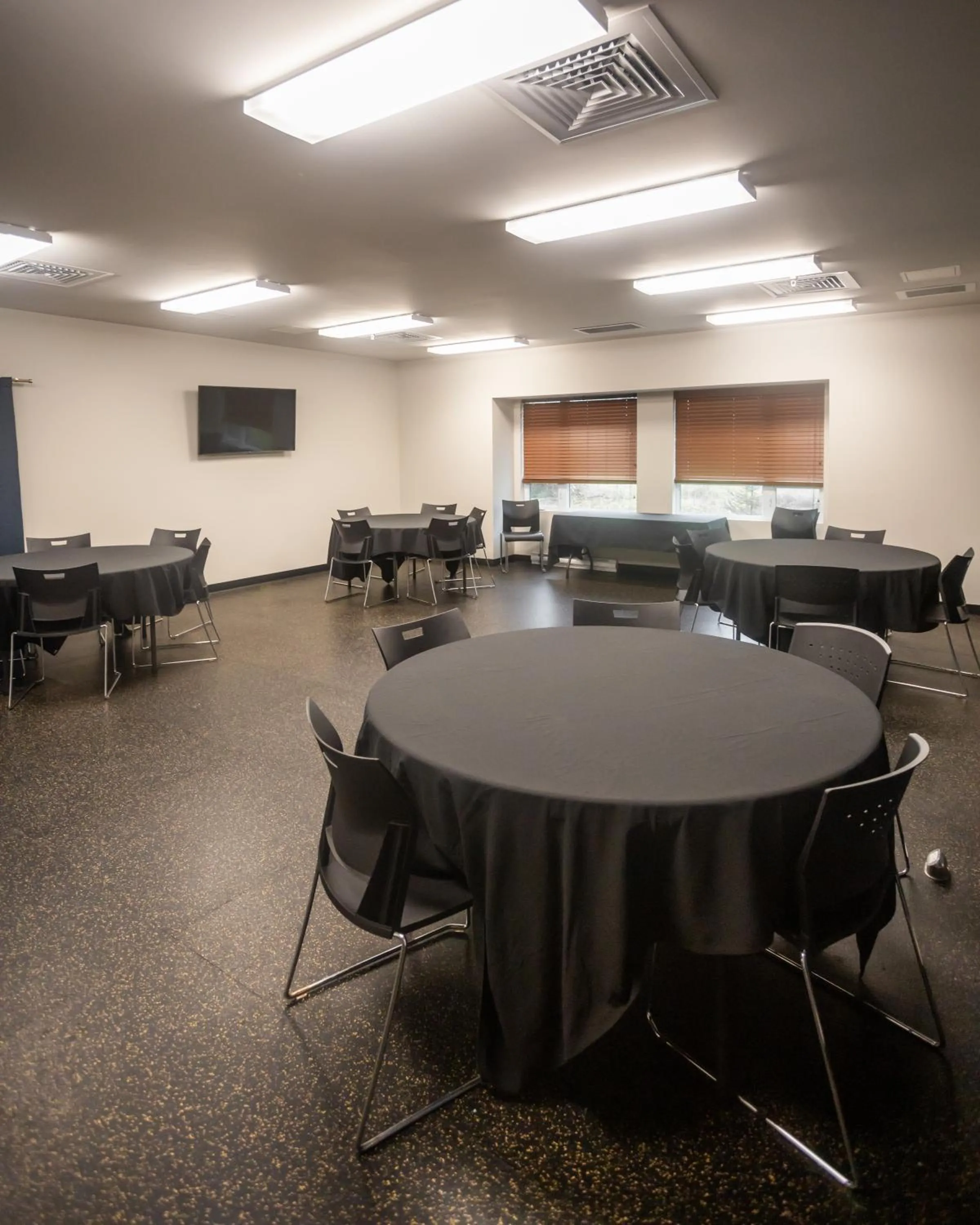 Meeting/conference room in Microtel Inn & Suites by Wyndham Mont Tremblant