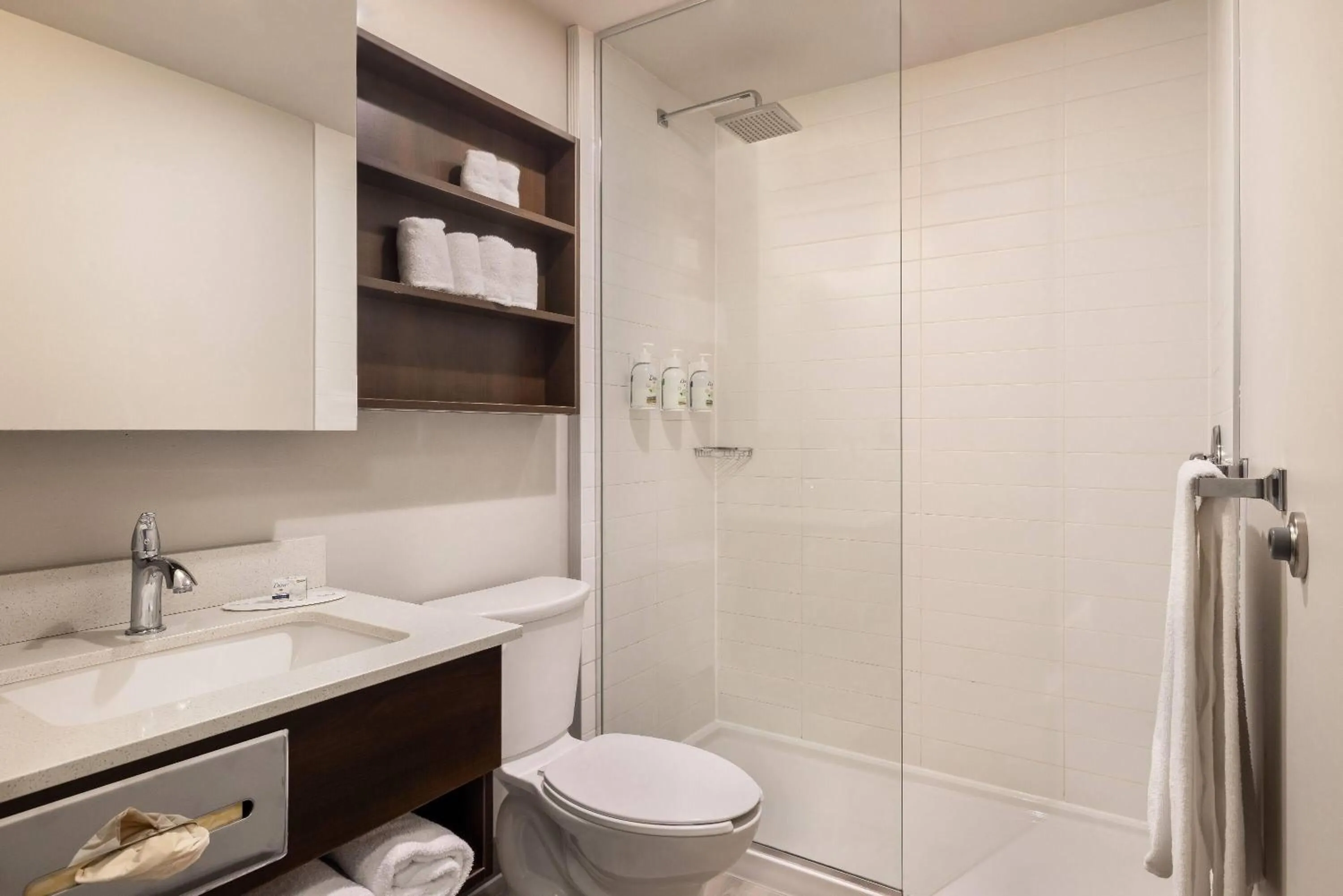 Bathroom in Microtel Inn & Suites by Wyndham Mont Tremblant