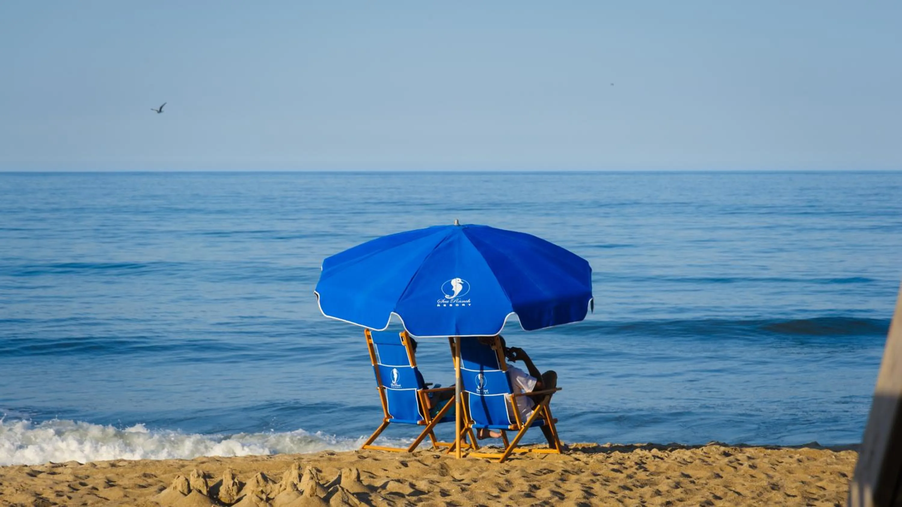 Beach in The Sea Ranch Resort