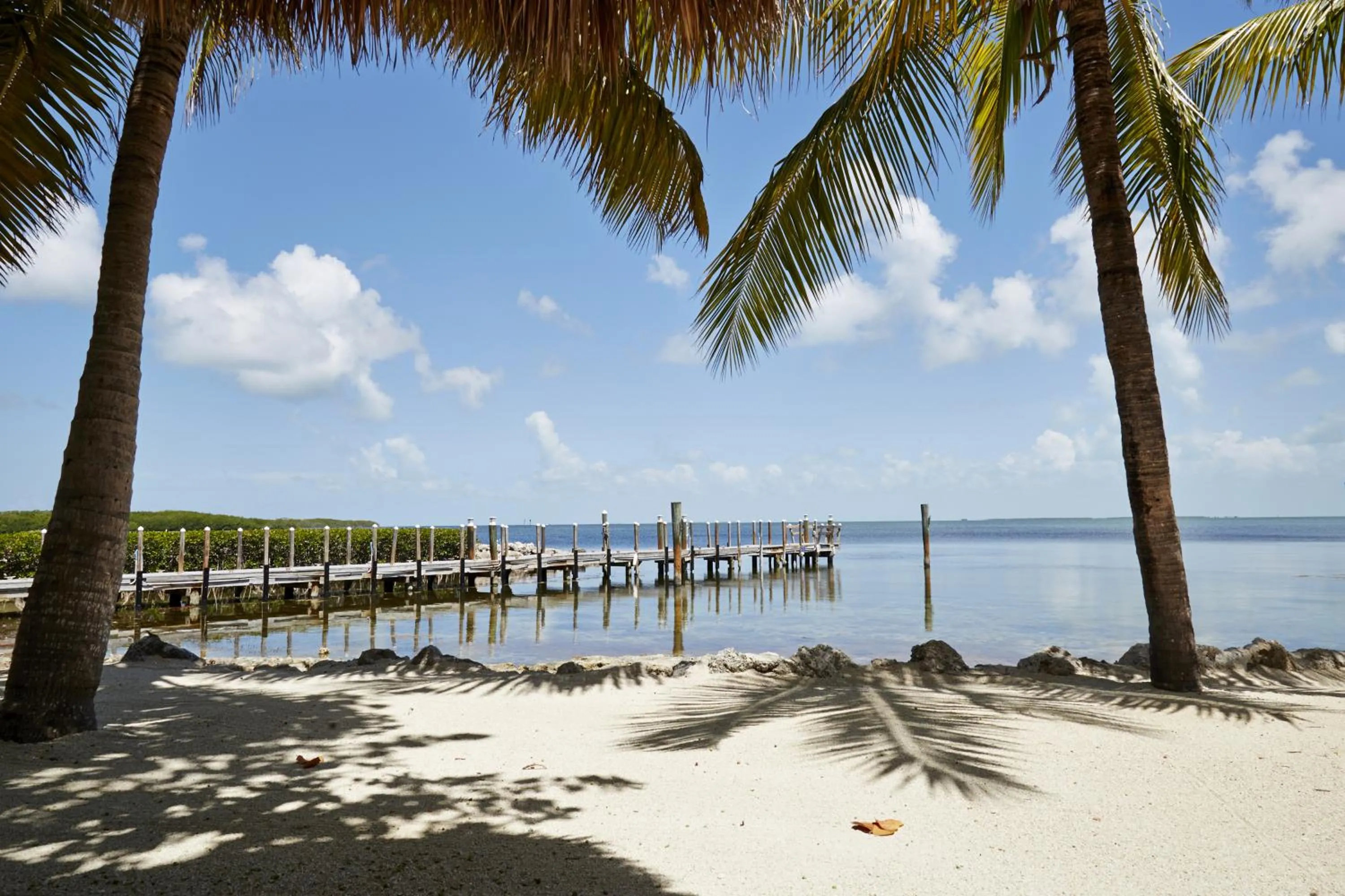 Natural landscape in Atlantic Bay Resort