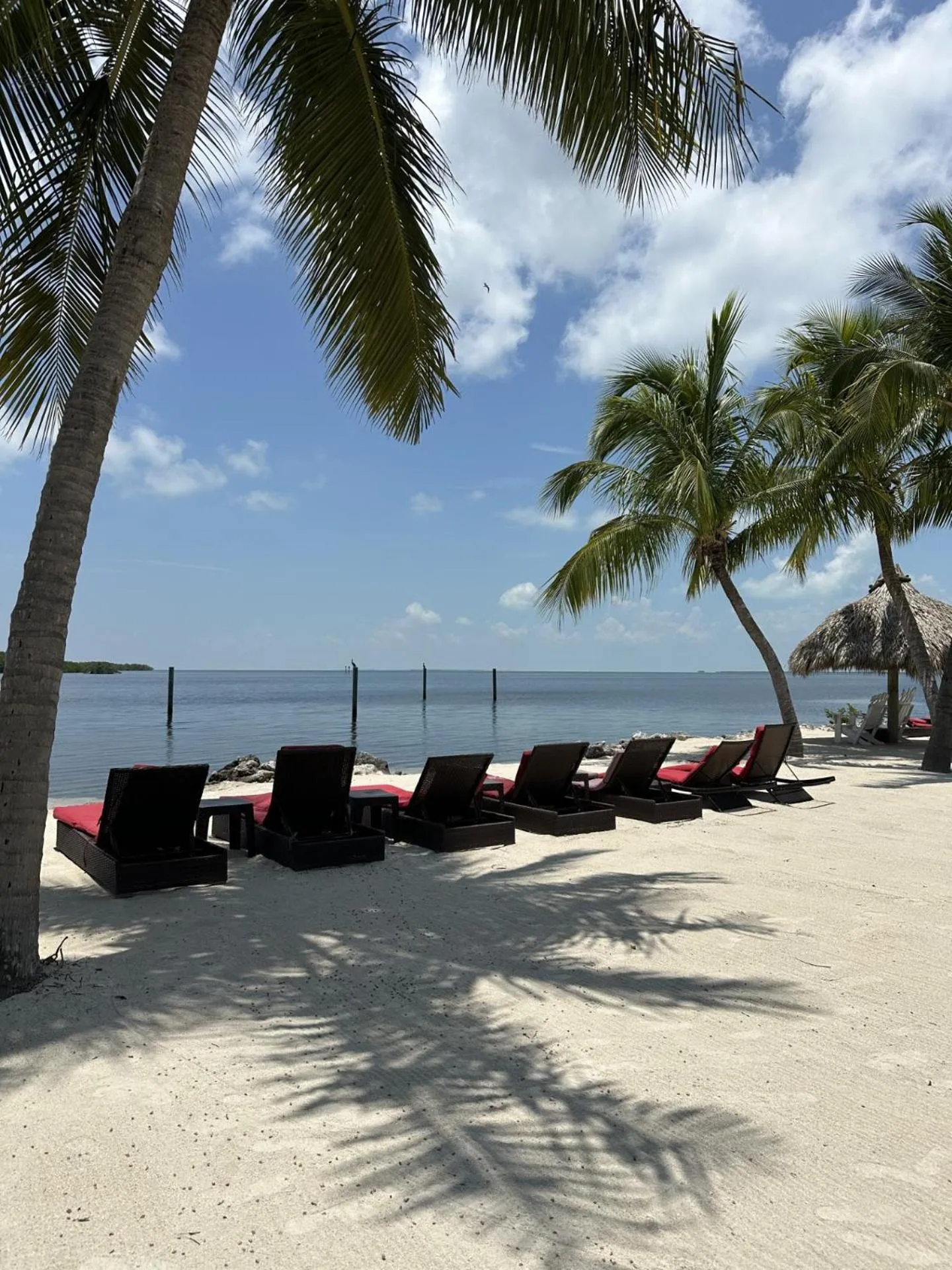 Beach in Atlantic Bay Resort