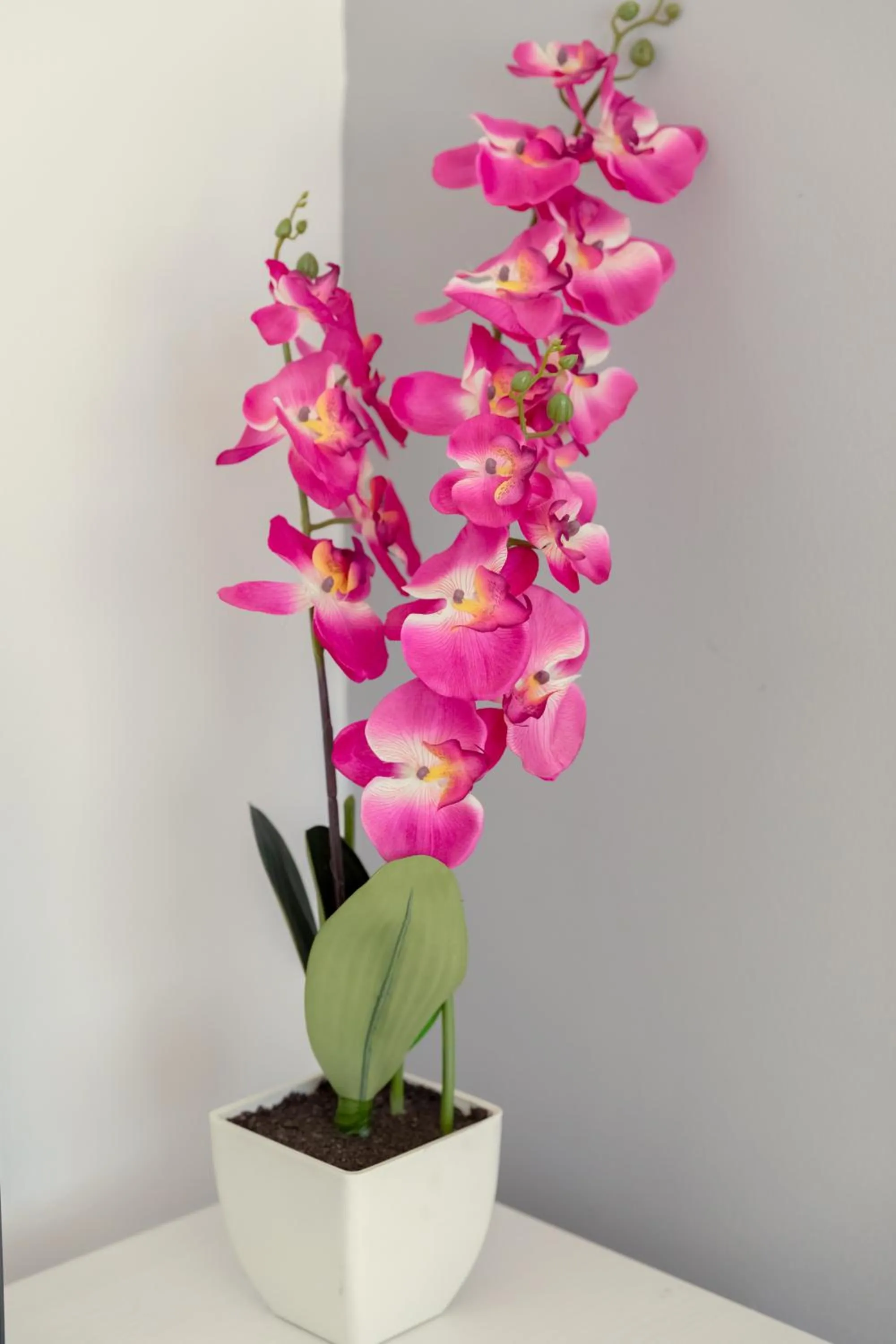 Decorative detail in Oceania Bay Village