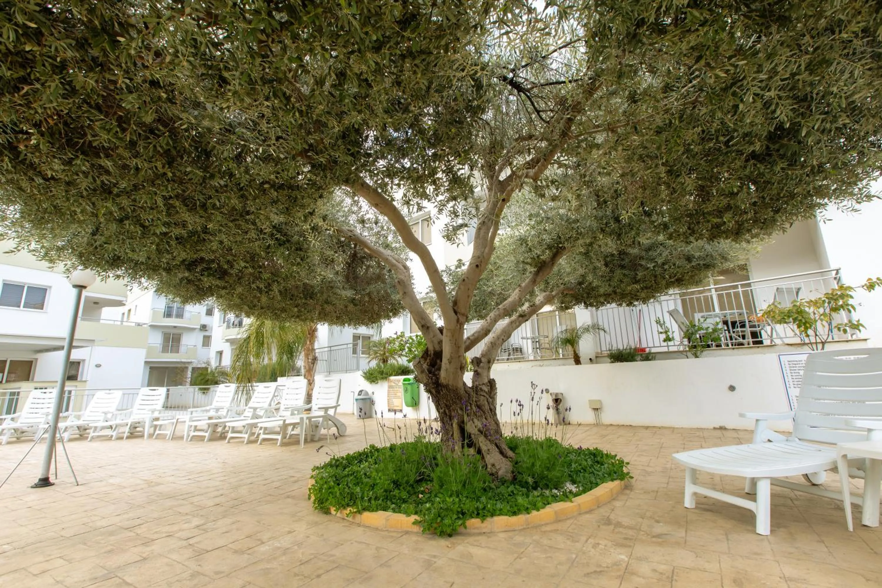 Swimming pool in Oceania Bay Village