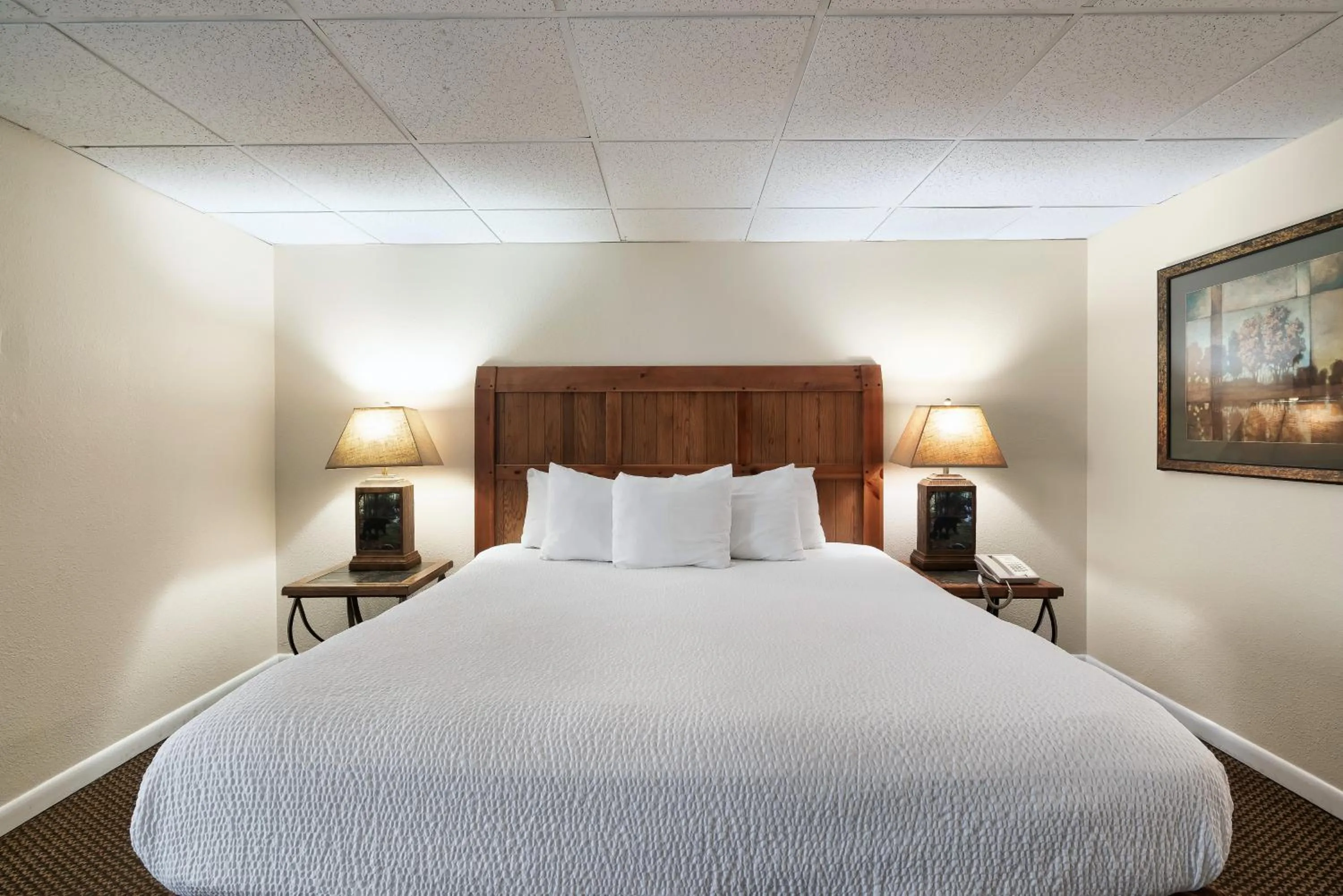 Bed in Gatlinburg Town Square