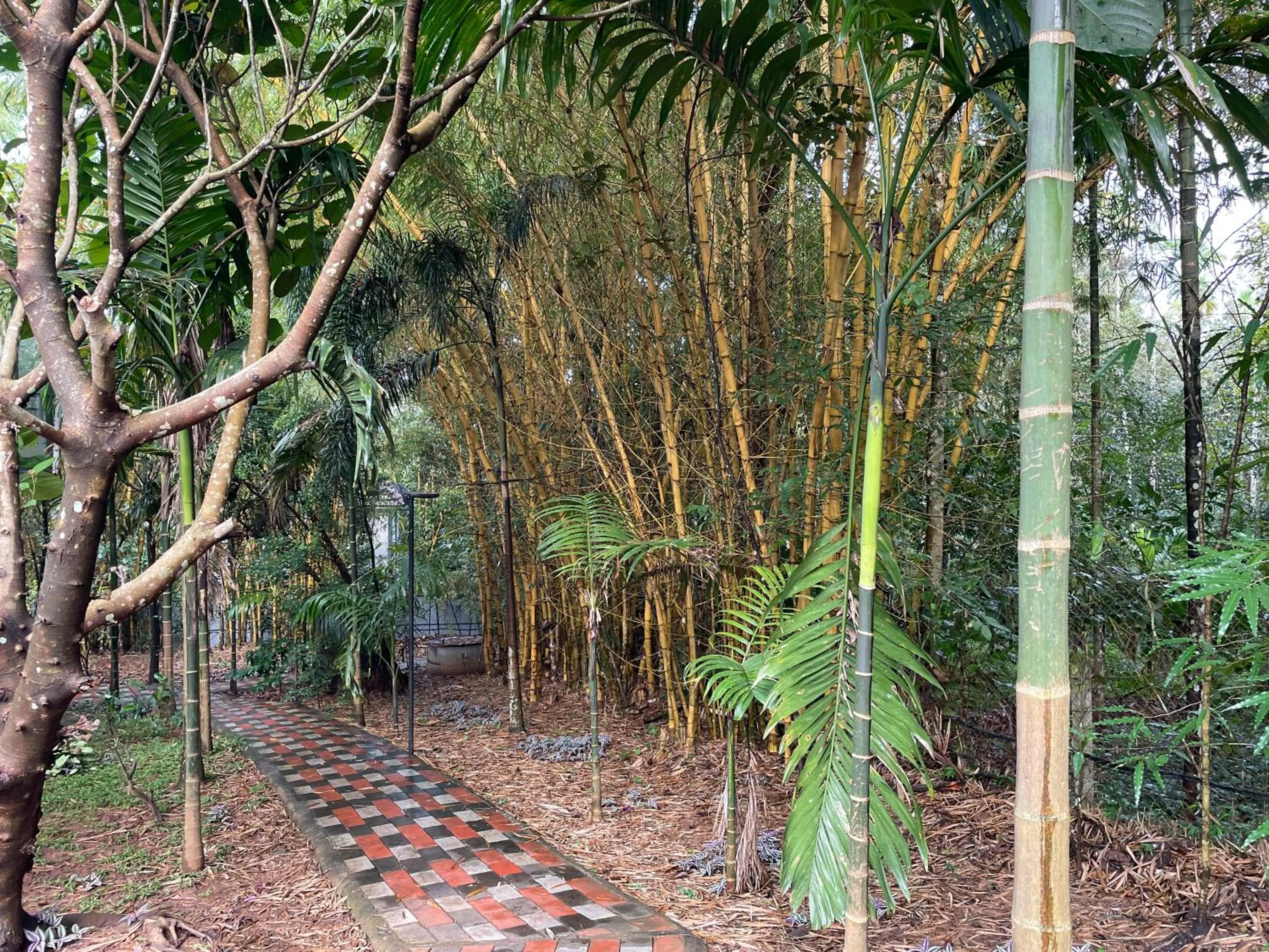 Natural landscape in Le Eden Premium Wayanad Pool Resort