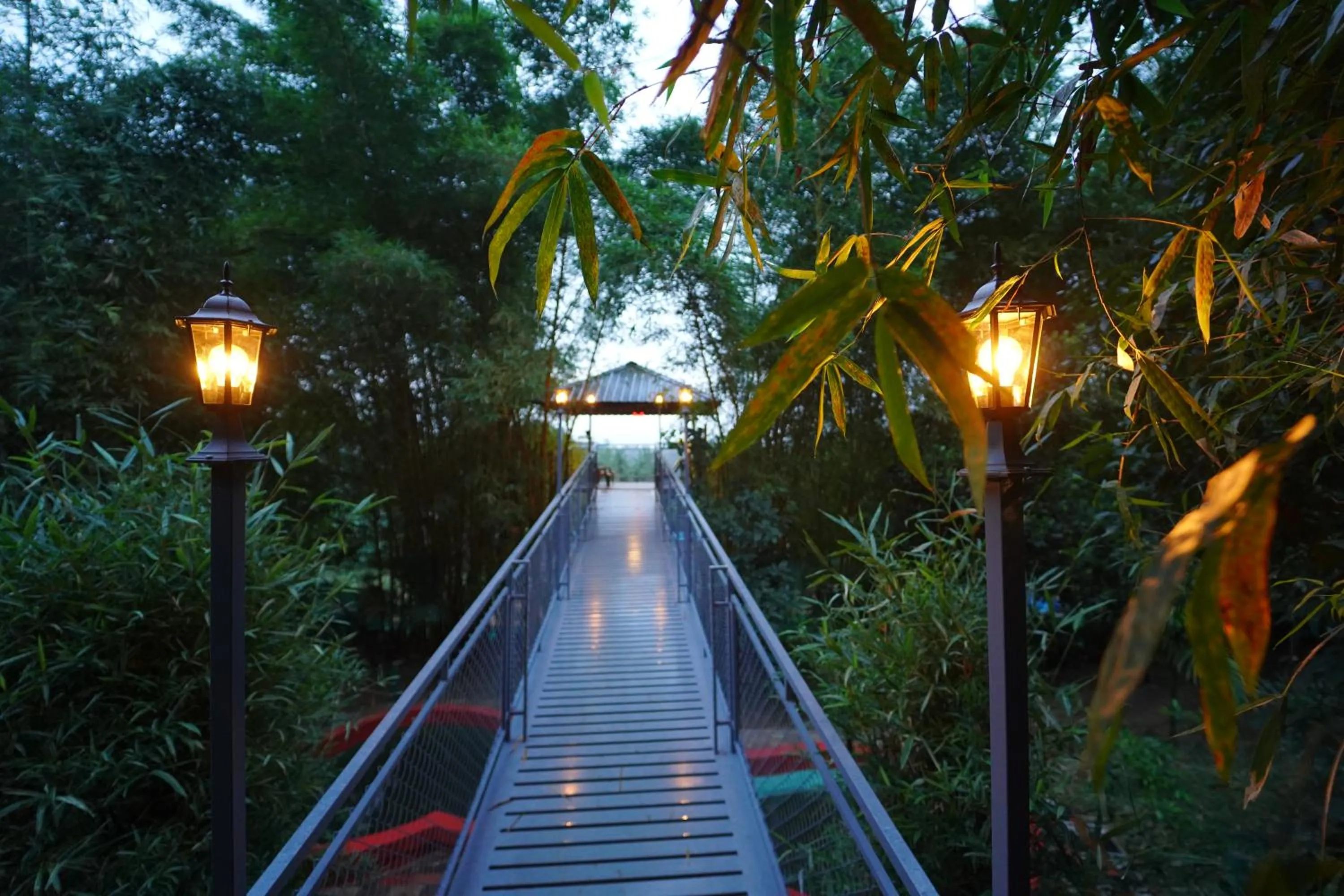 View (from property/room) in Le Eden Premium Wayanad Pool Resort