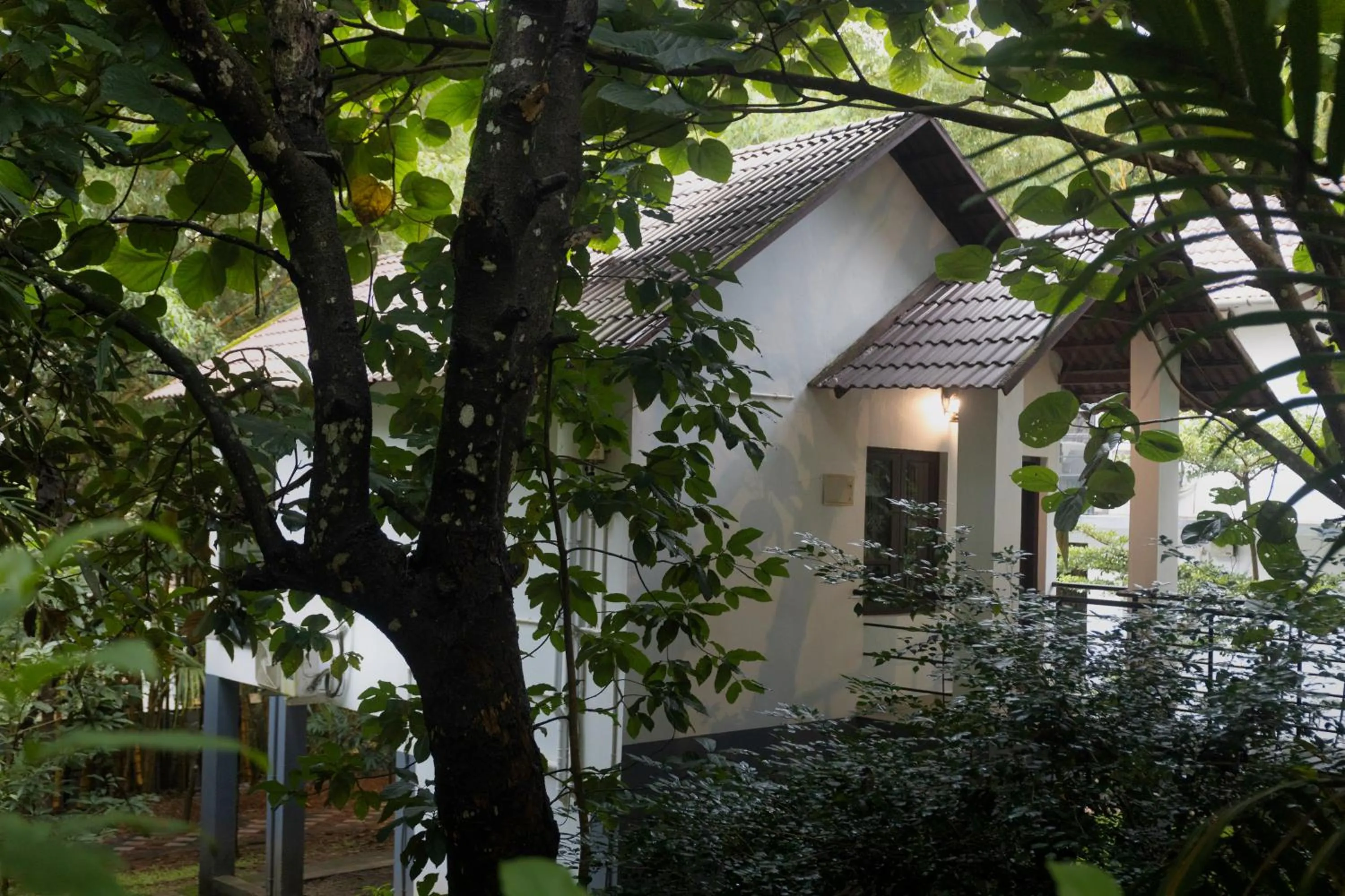 Garden in Le Eden Premium Wayanad Pool Resort