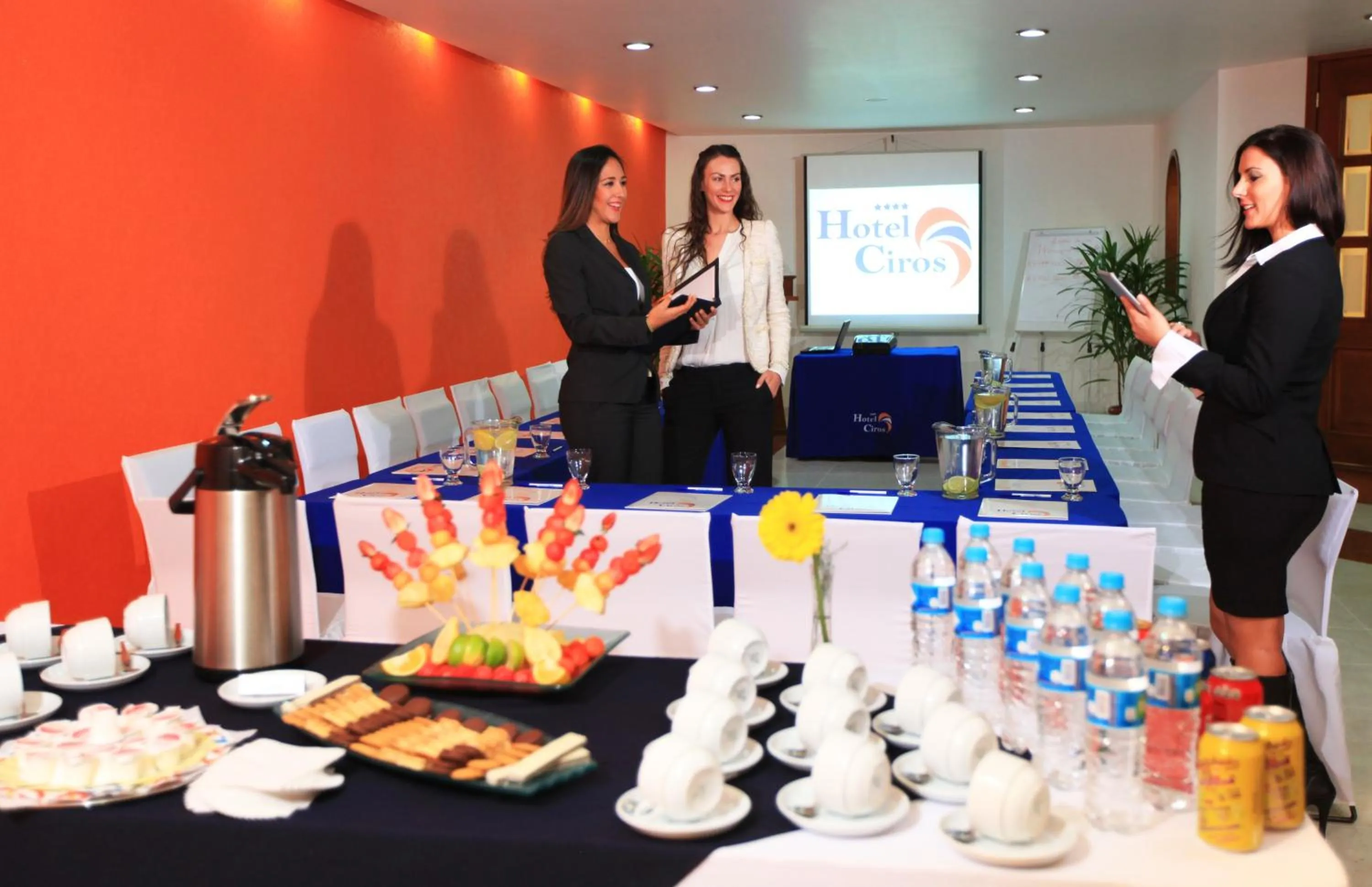 Business facilities in Hotel Ciros