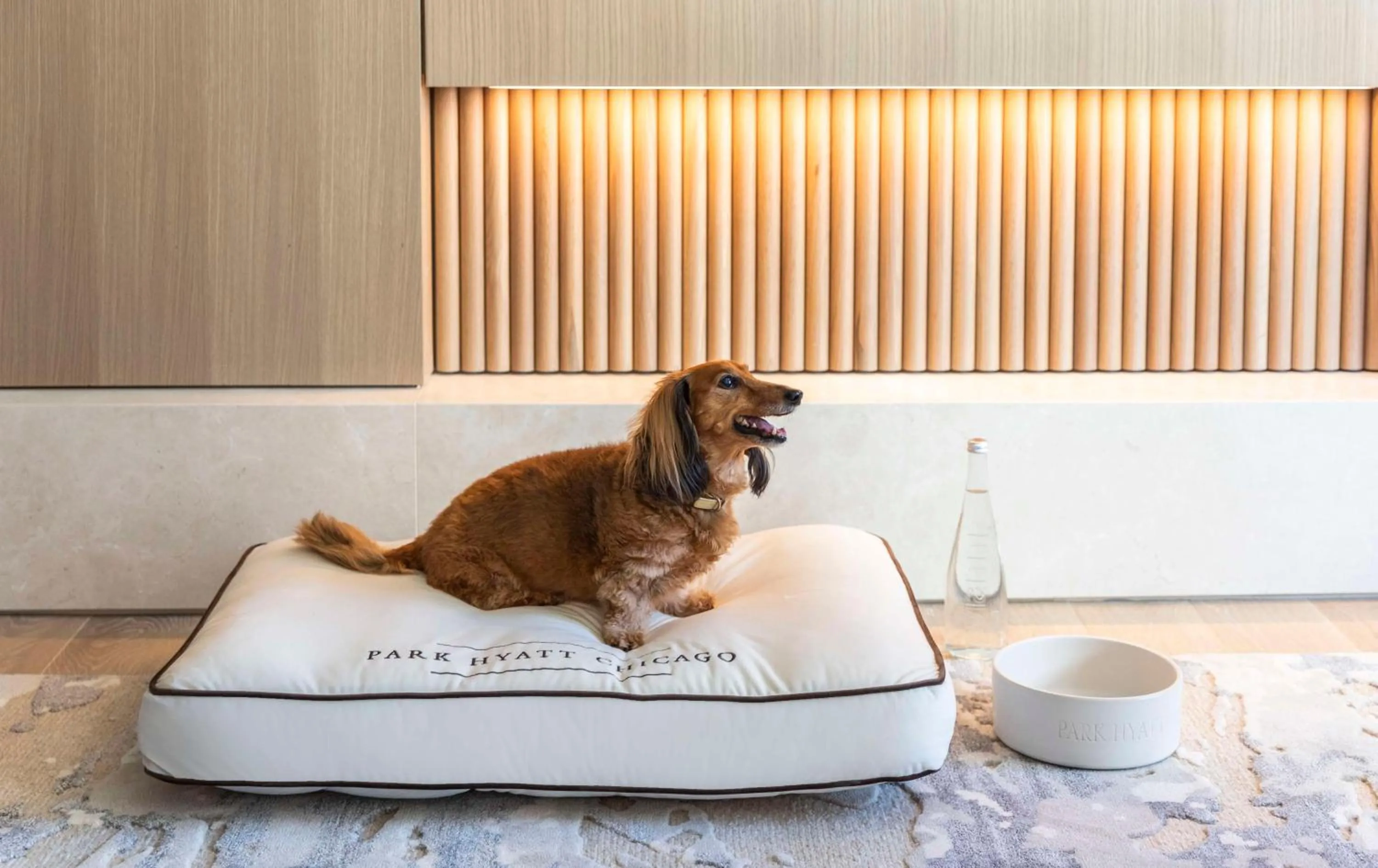 Pets in Park Hyatt Chicago