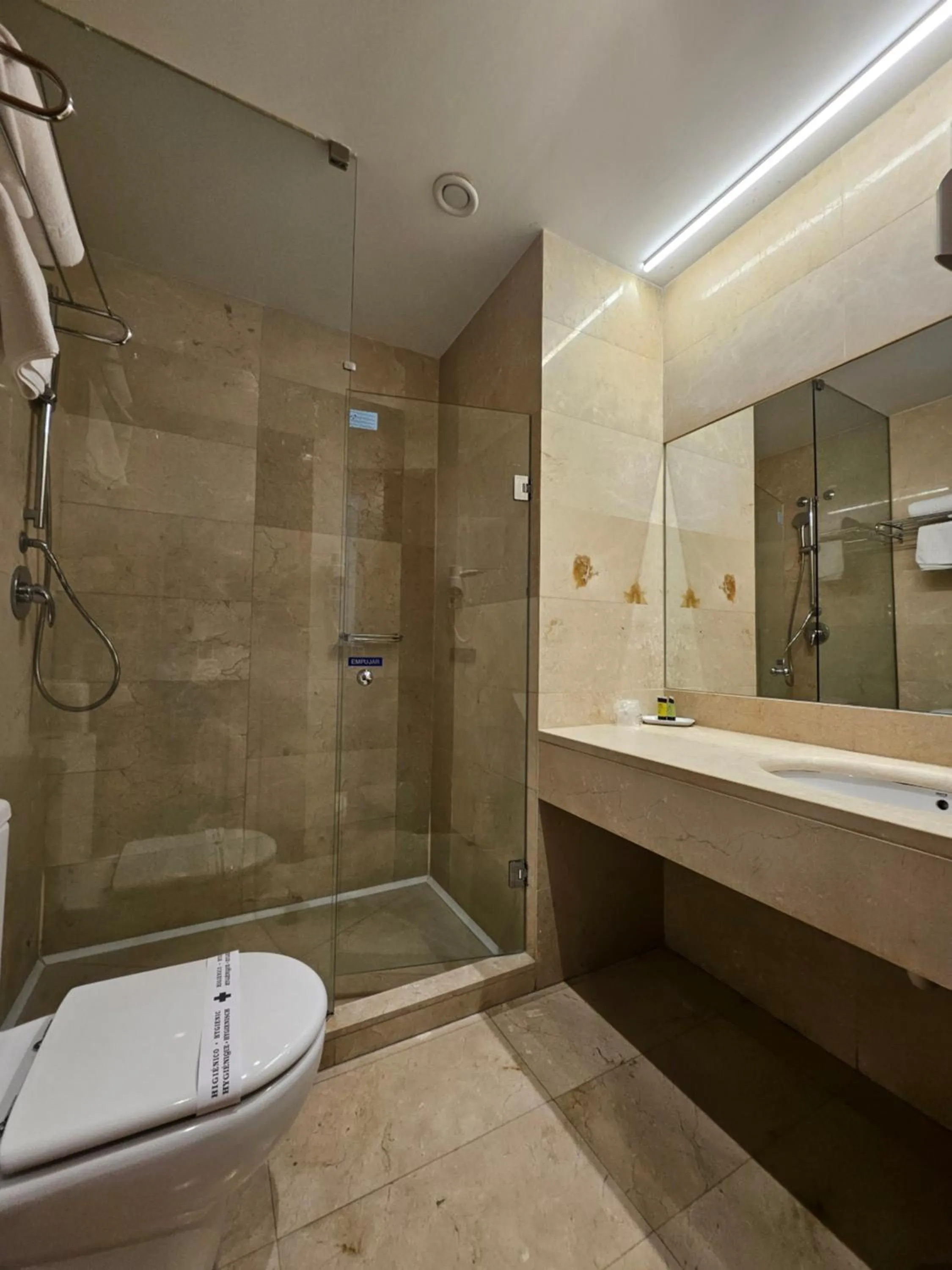 Toilet in Duque de Wellington