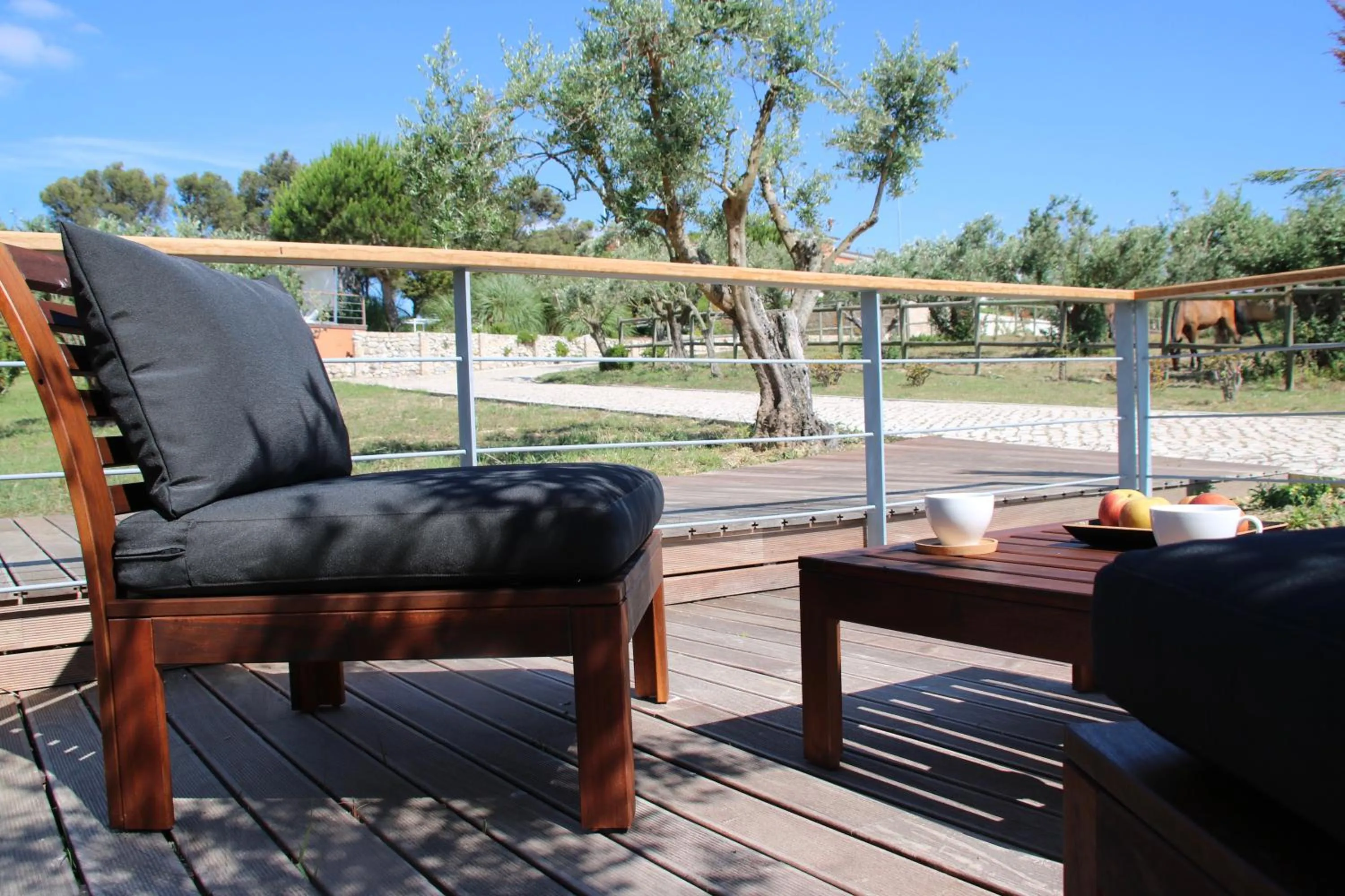 Balcony/Terrace in Quinta Tagus