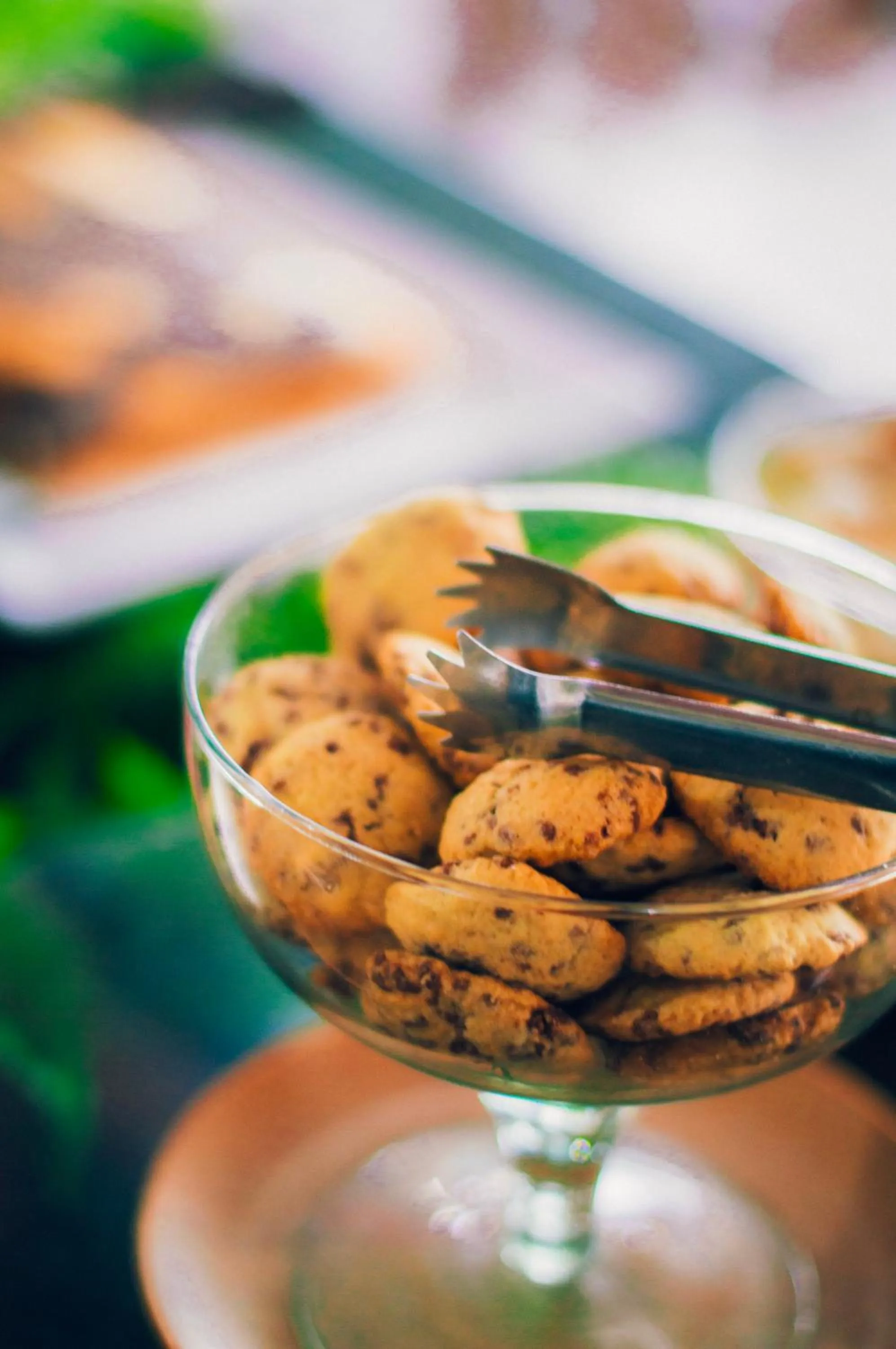 Garça Branca Praia Hotel