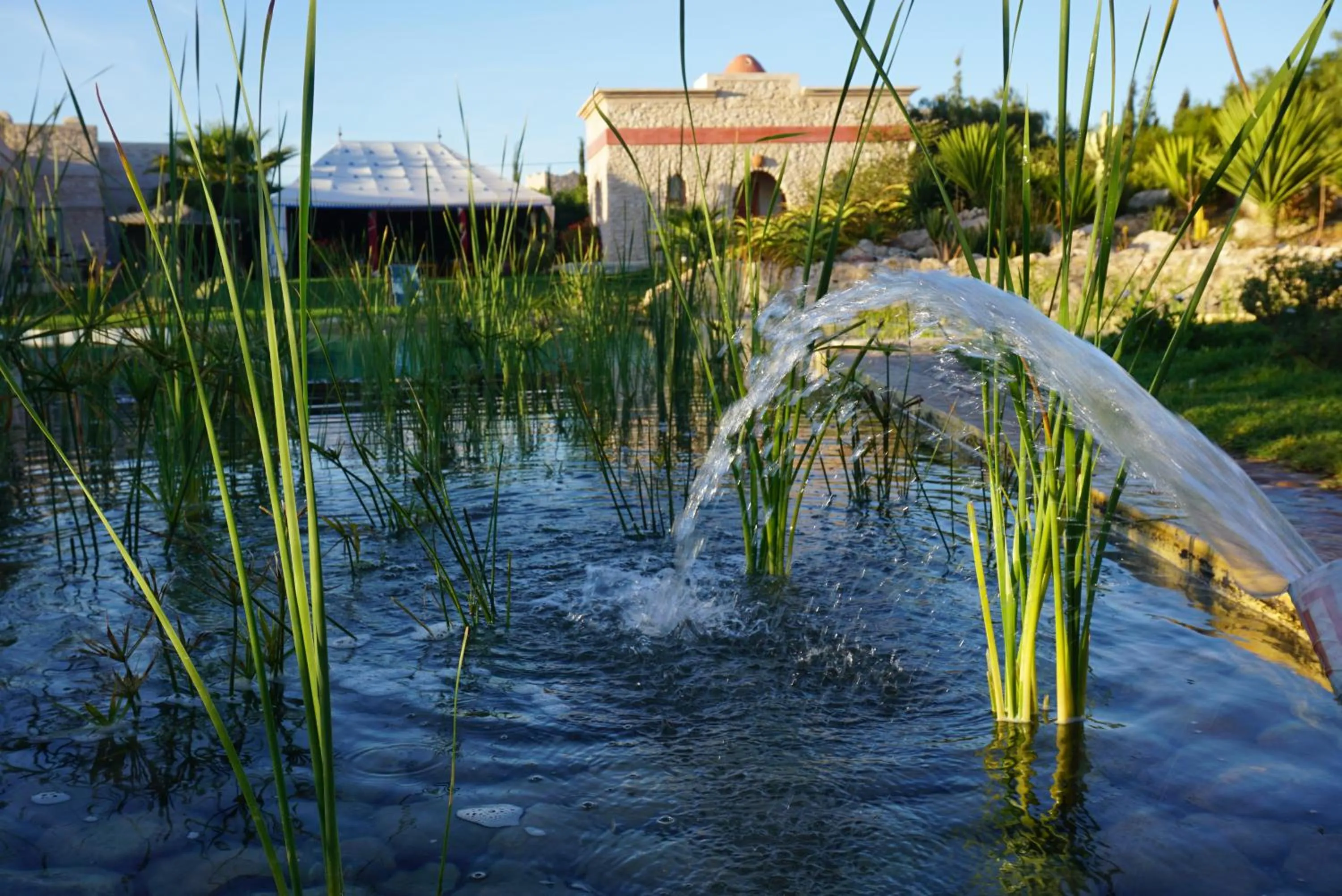 Swimming pool in Douar Noujoum