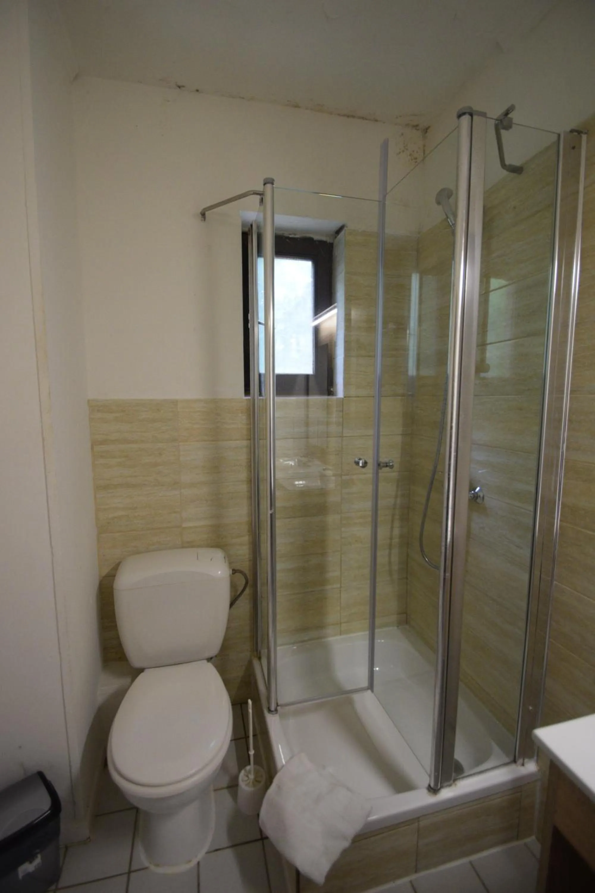 Shower in Budget Flats Brussels