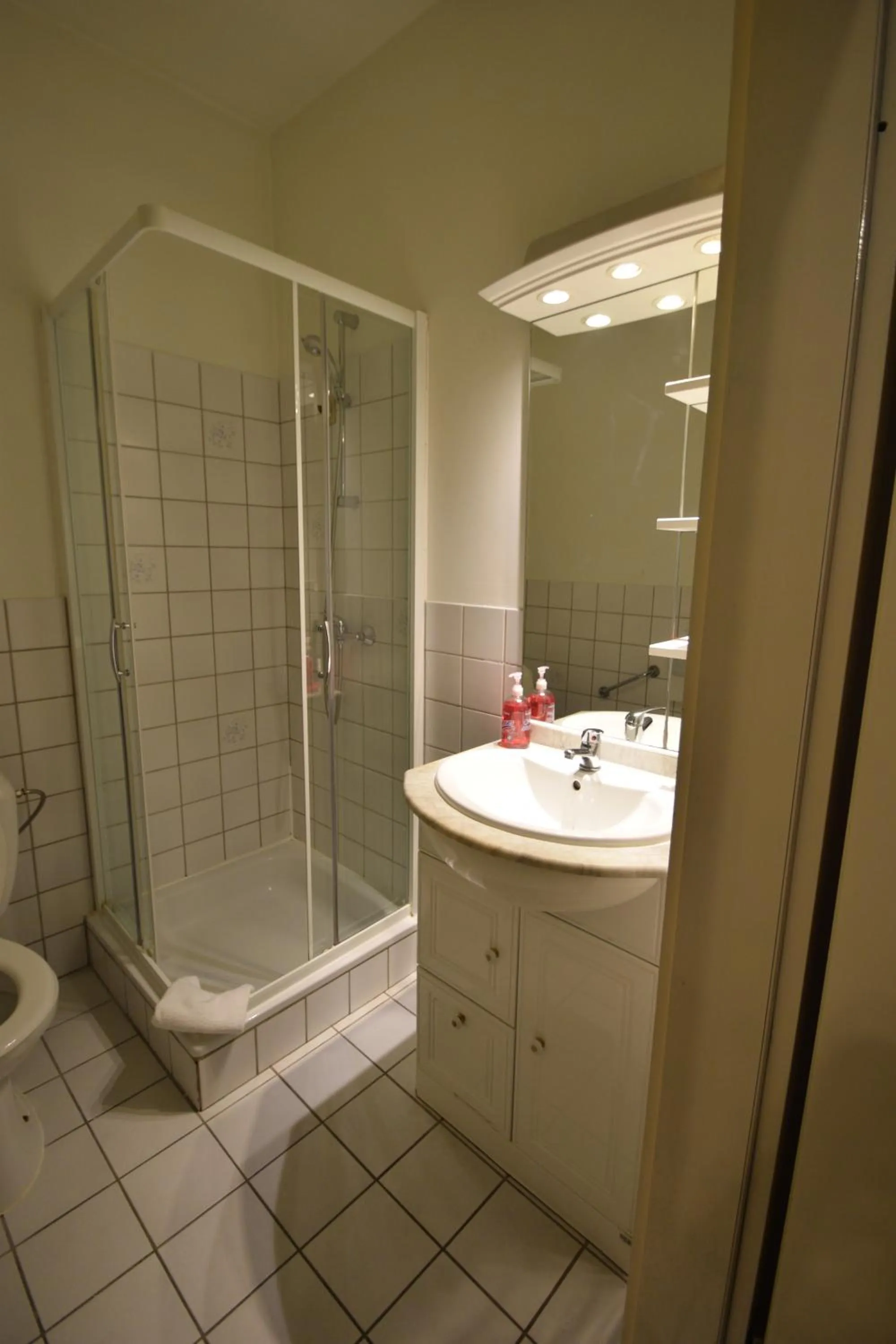 Shower in Budget Flats Brussels