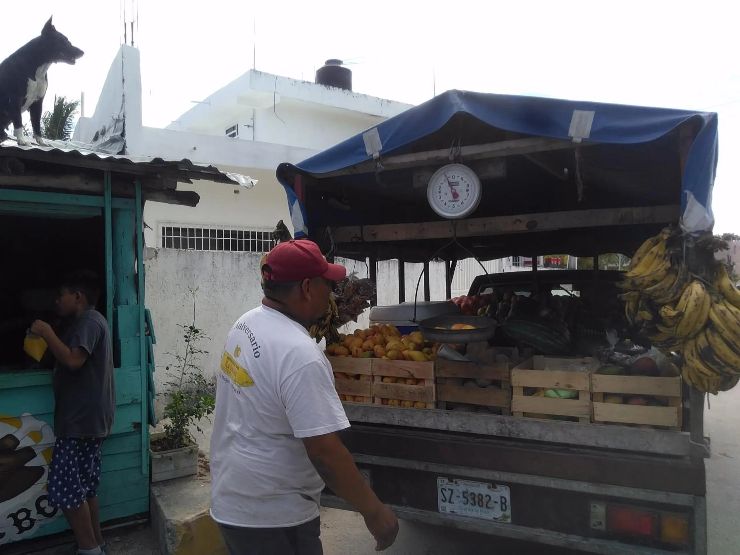People in Buenos Días Guest House