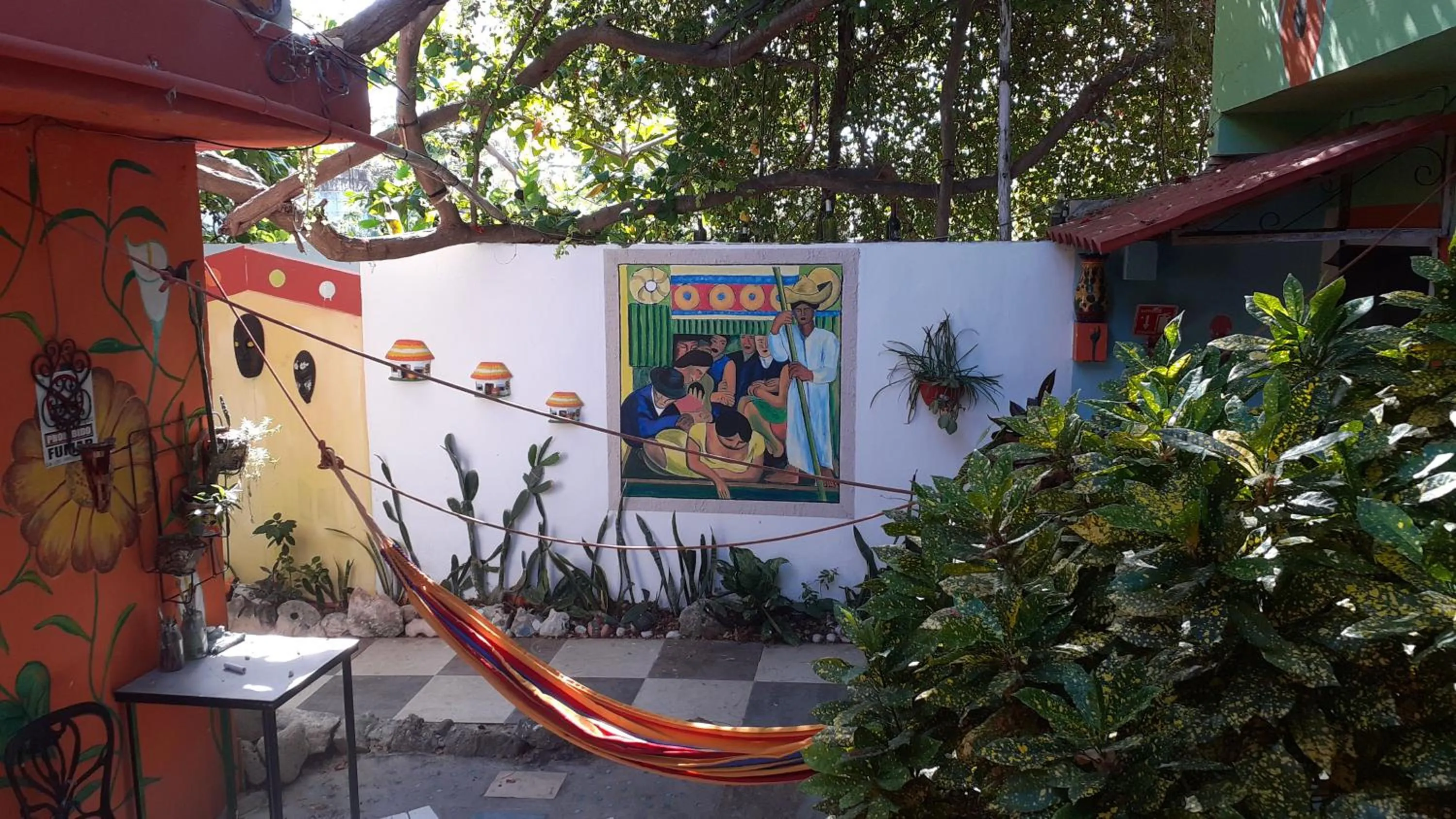 Garden view in Buenos Días Guest House