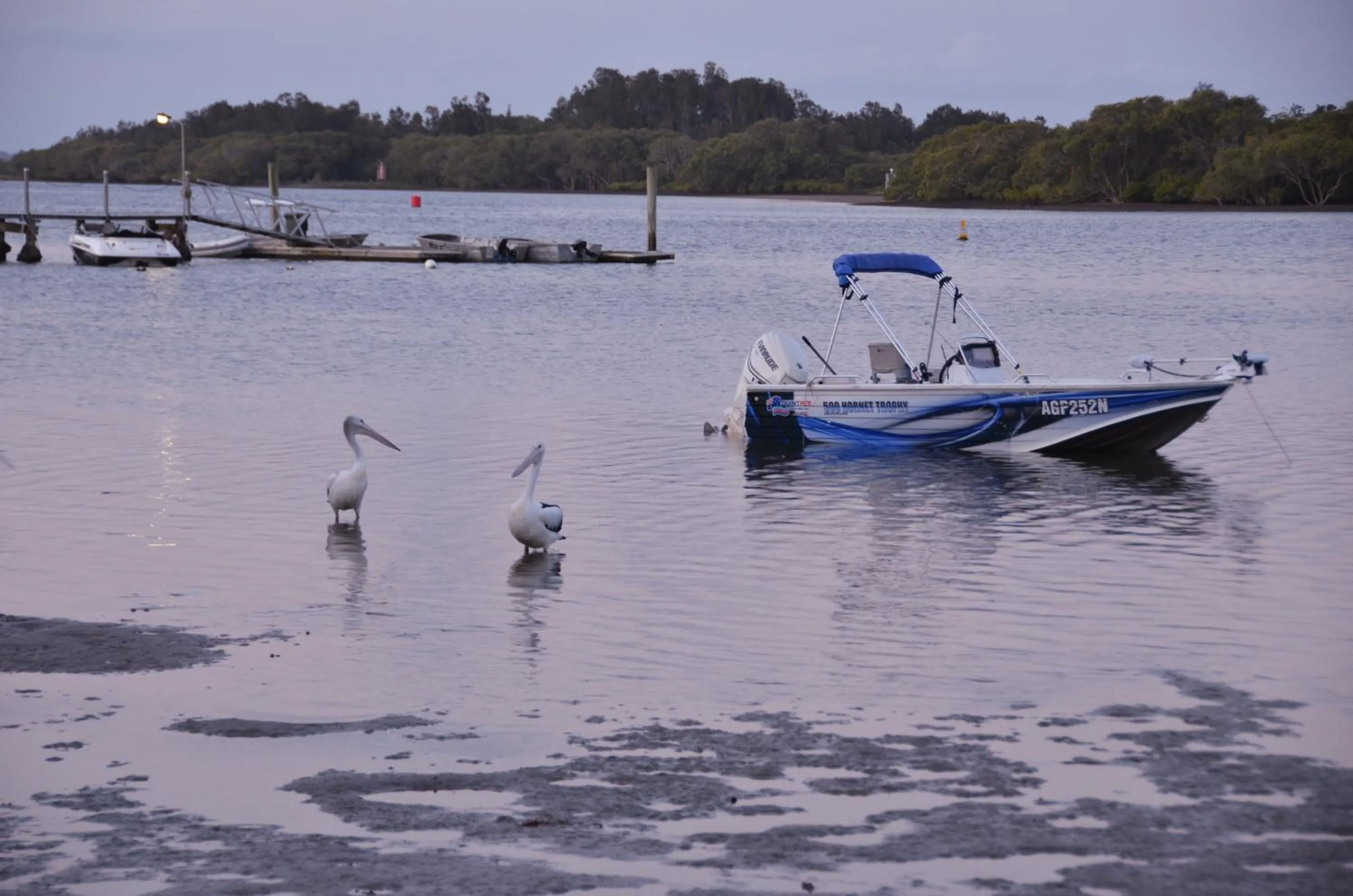 Fishing in Moby Dick Waterfront Resort Motel