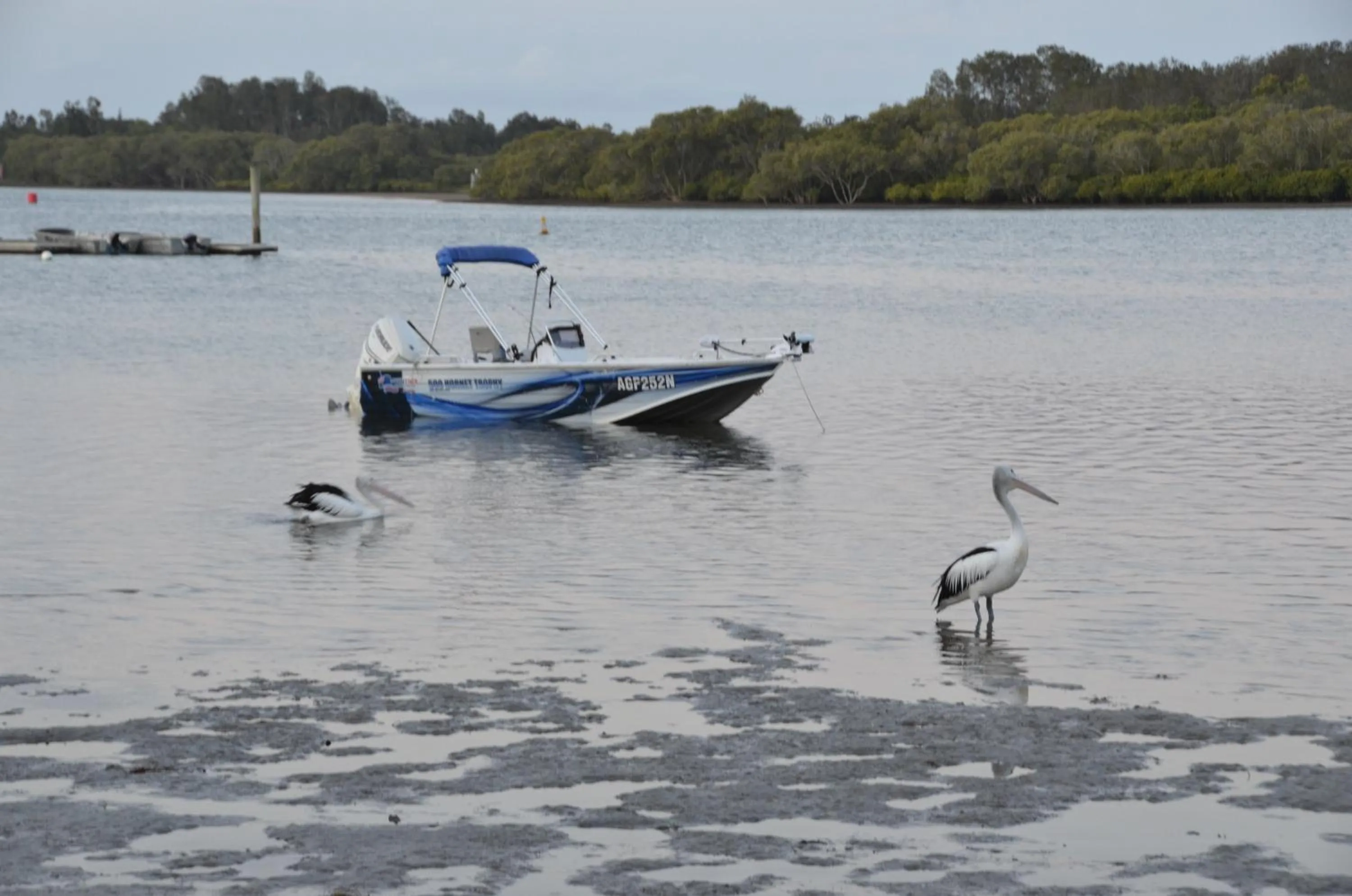 Fishing in Moby Dick Waterfront Resort Motel