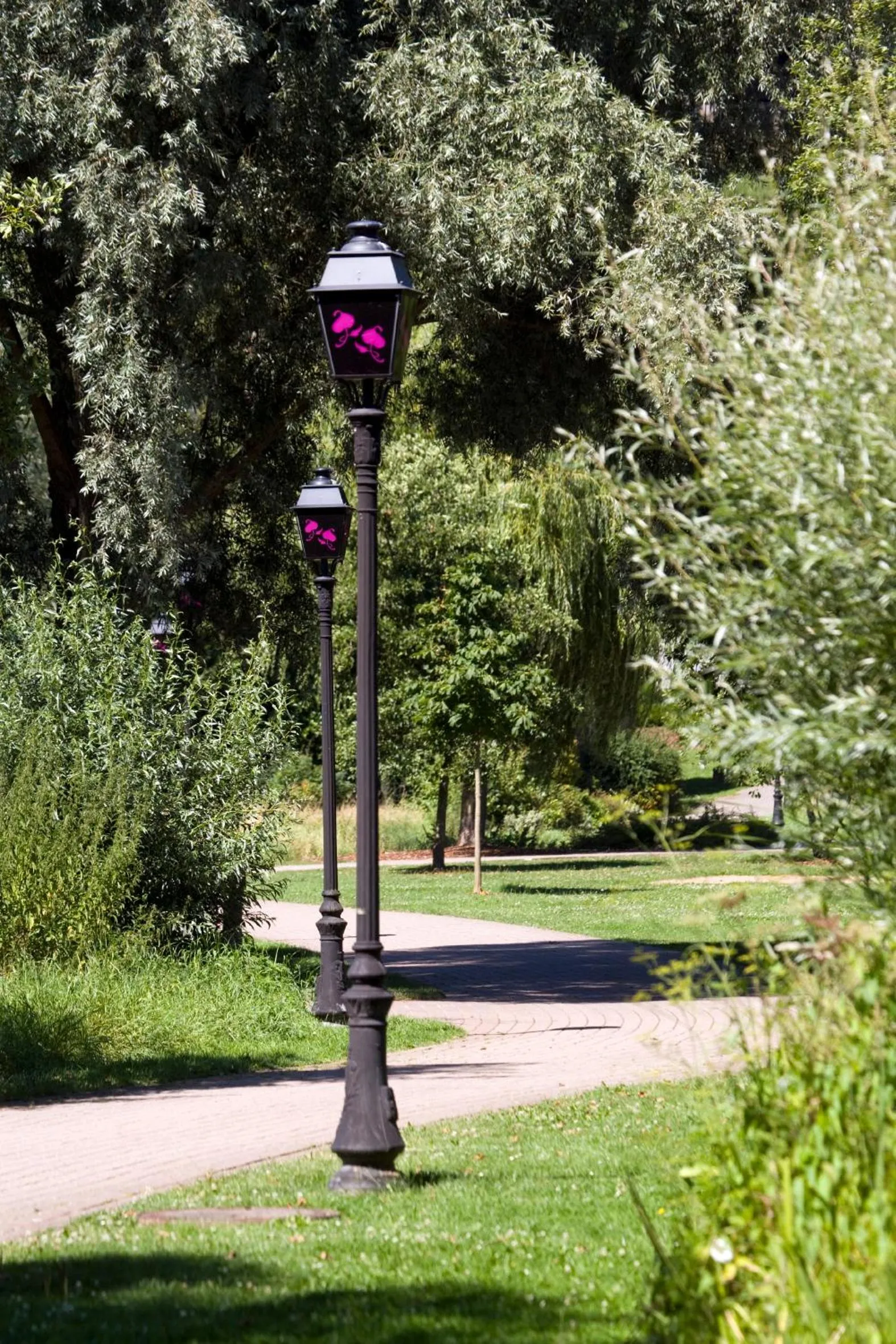 Area and facilities in Hotel Alzinn