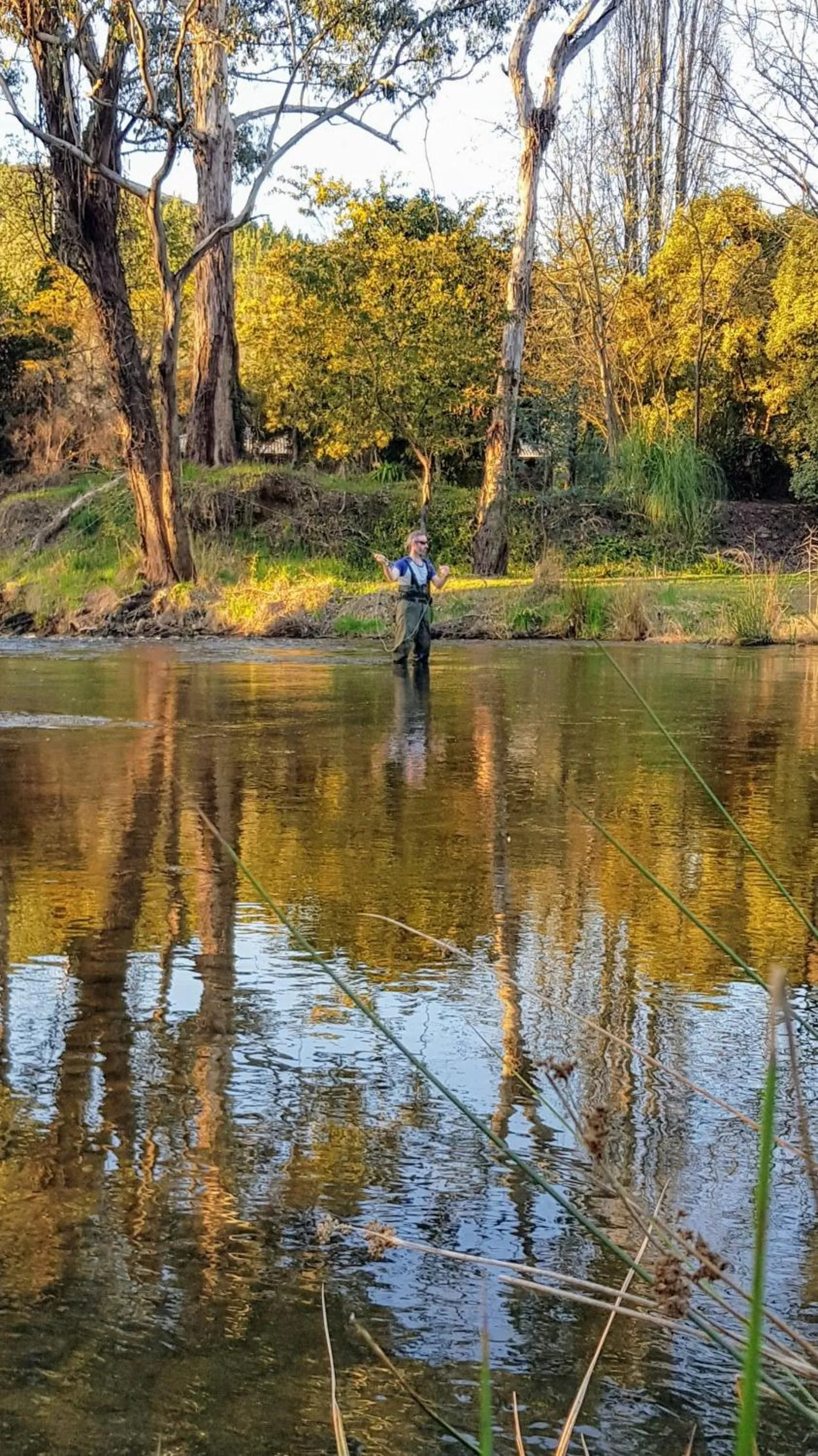 Fishing in Goldfield Holiday Units