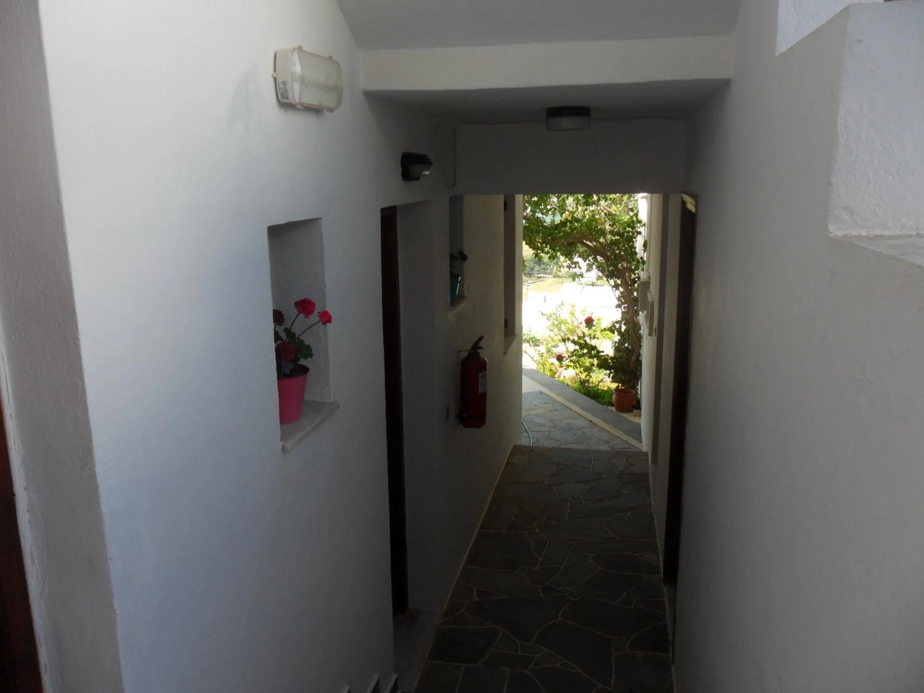 Decorative detail in Froudi Rooms