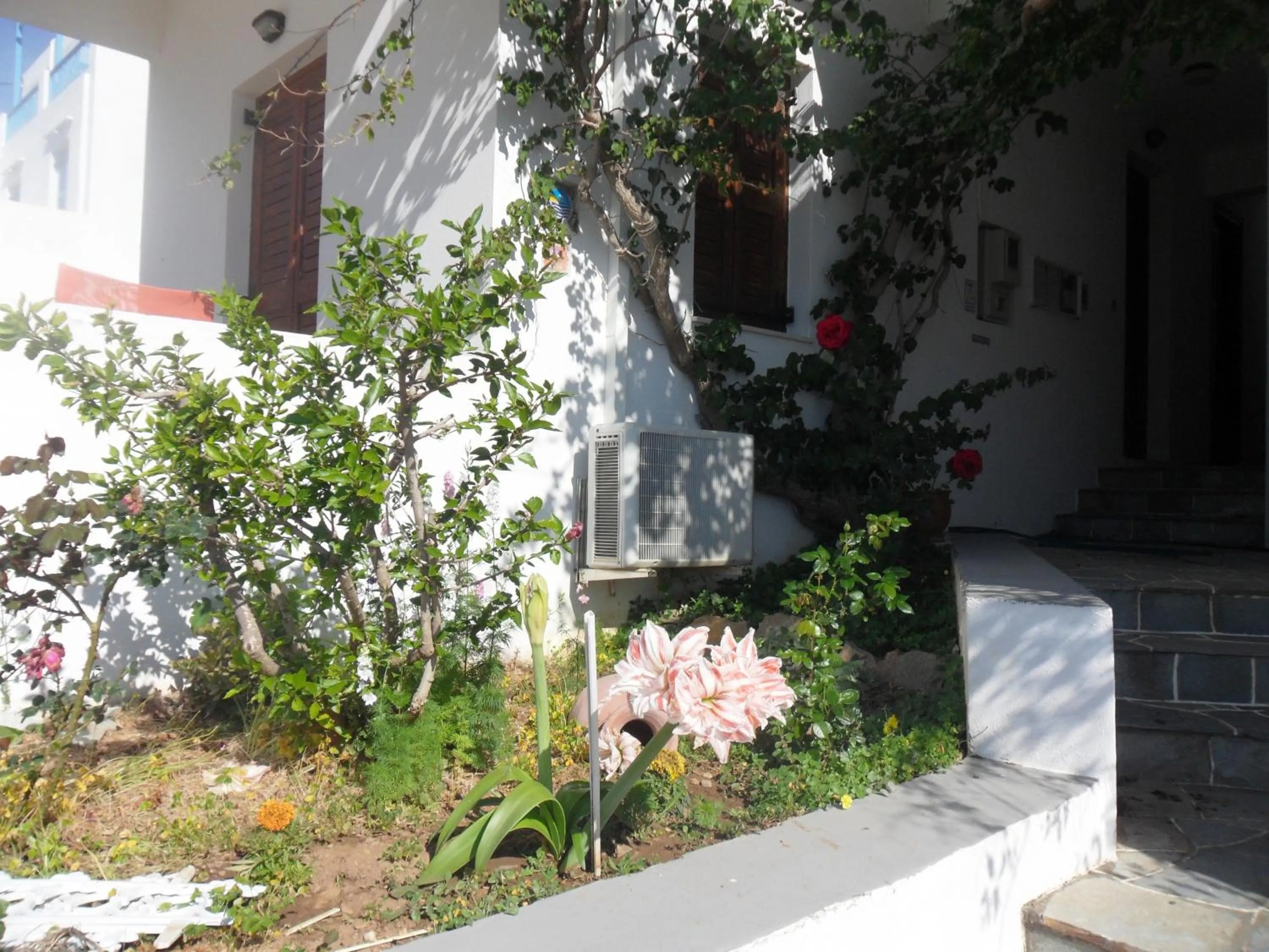 Facade/entrance in Froudi Rooms