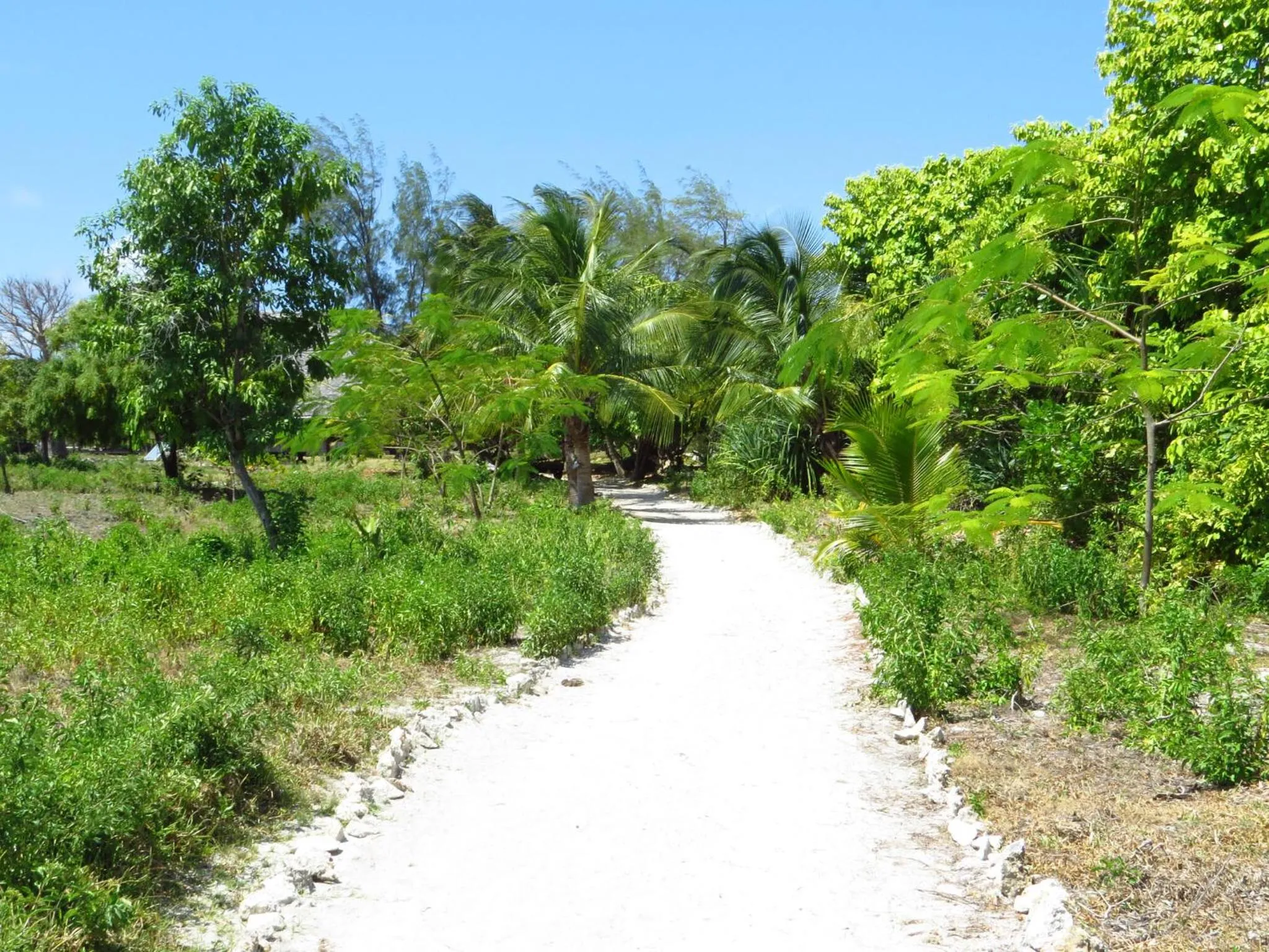 Other in Pemba Eco Lodge