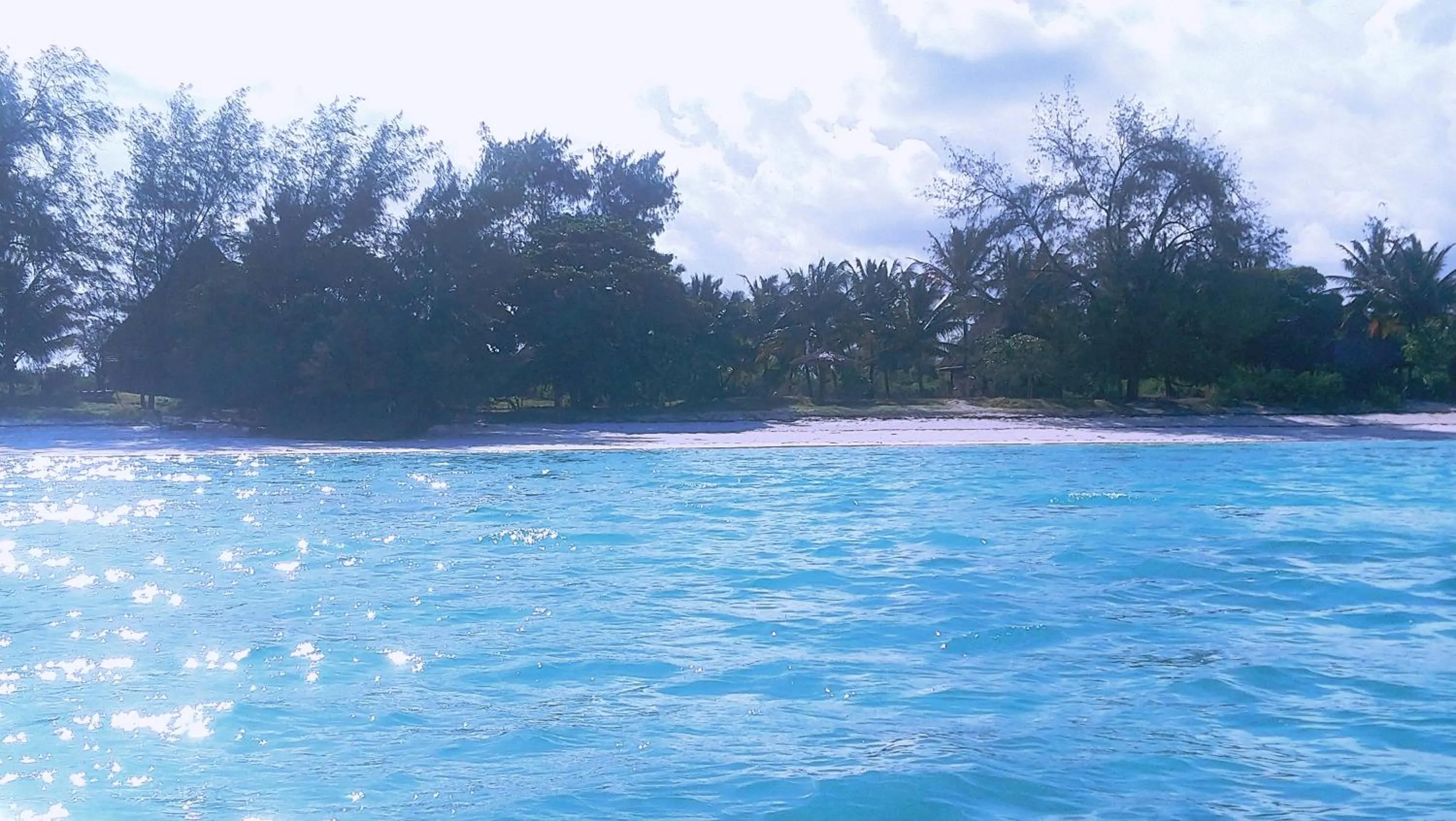 Beach in Pemba Eco Lodge