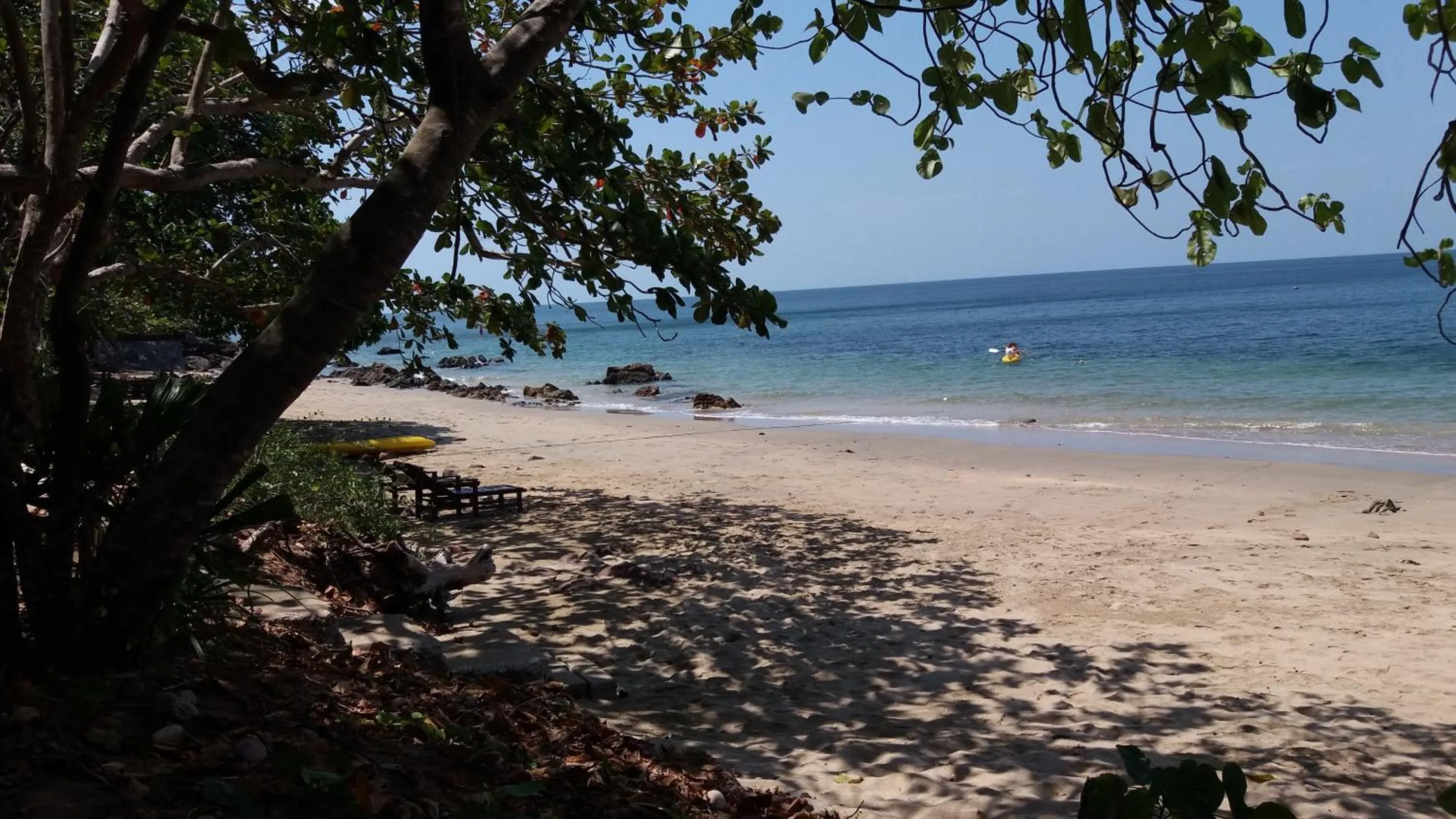 Day in Jungle Hill Beach Bungalow