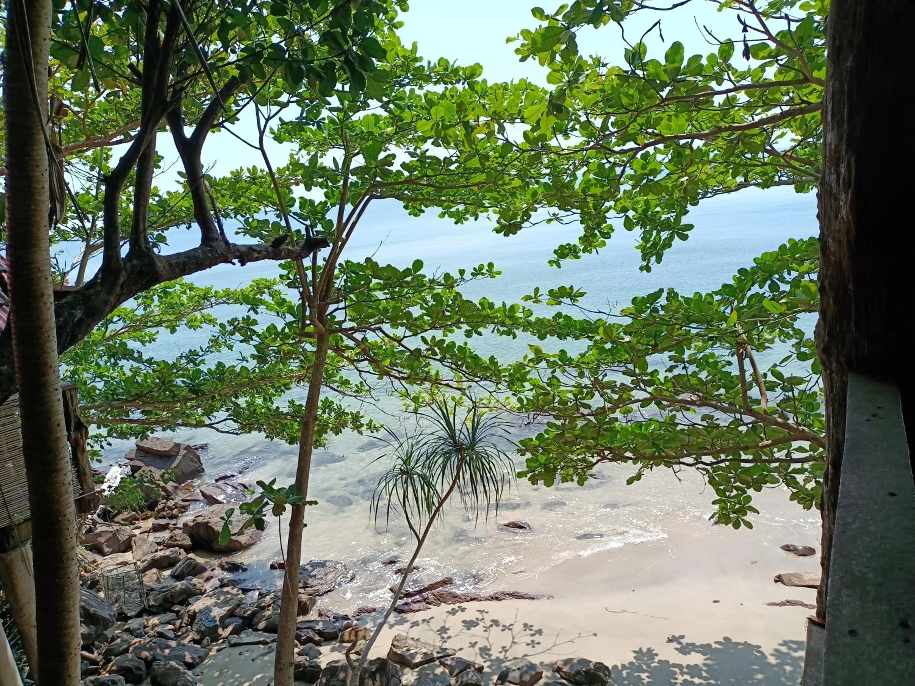 Jungle Hill Beach Bungalow