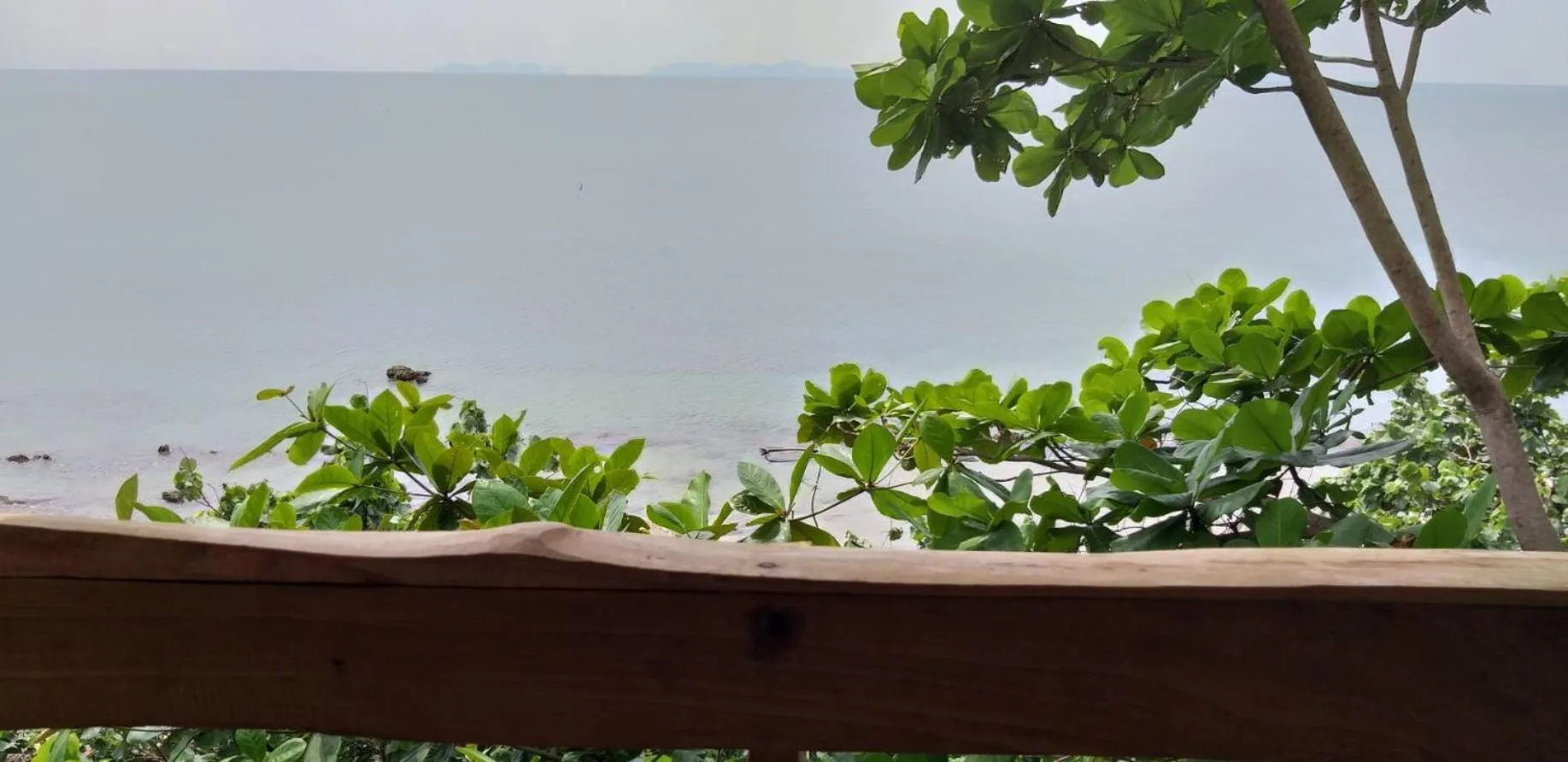 Jungle Hill Beach Bungalow