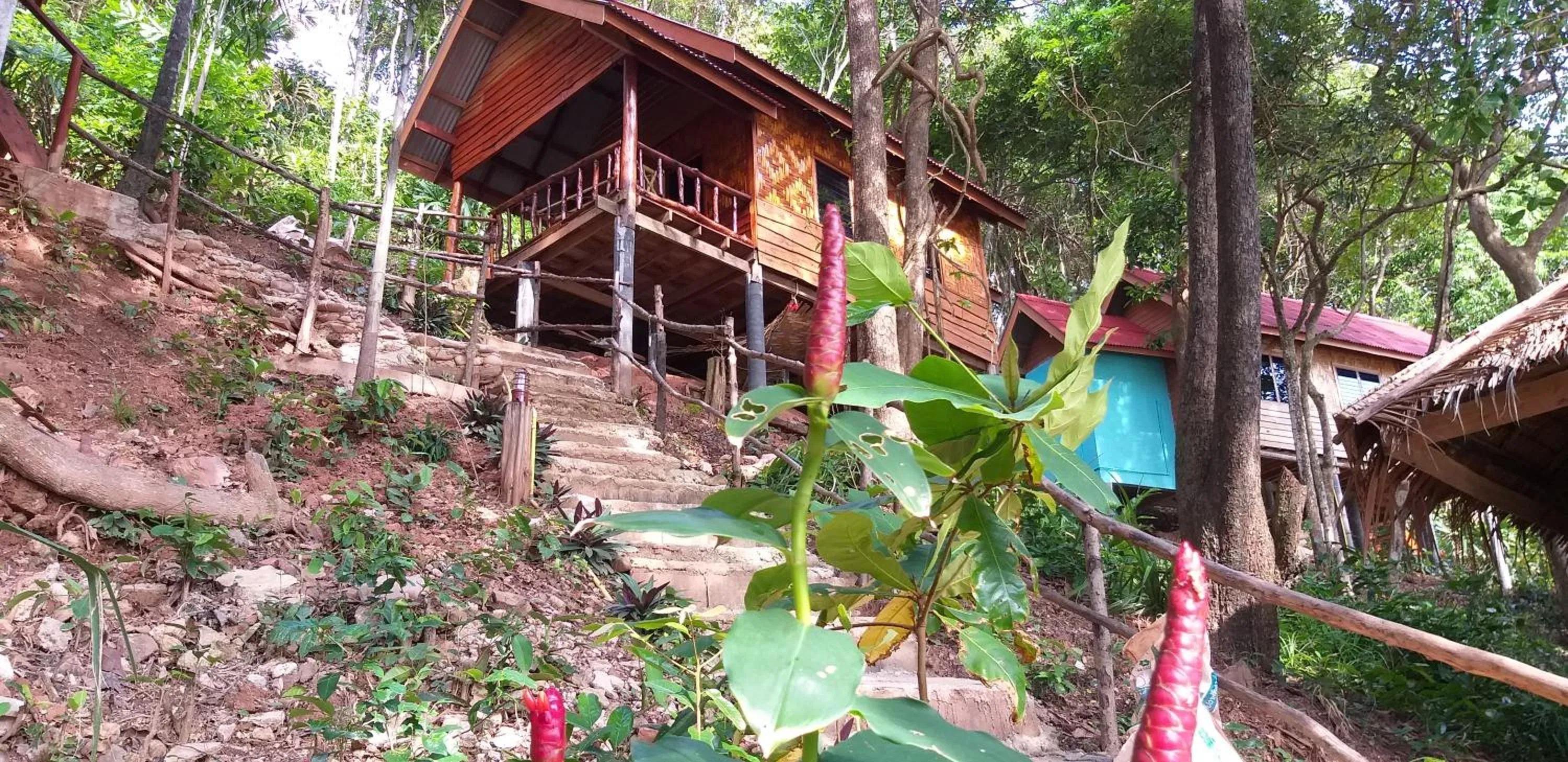 Photo of the whole room in Jungle Hill Beach Bungalow