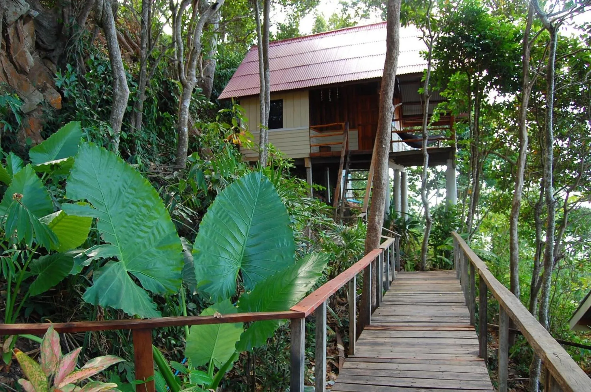 Garden in Jungle Hill Beach Bungalow