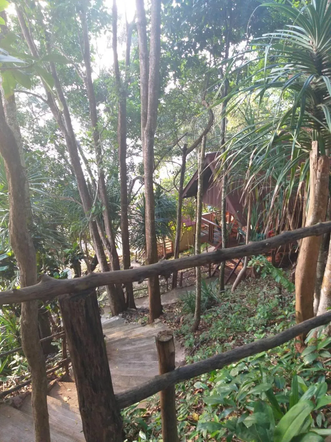 Jungle Hill Beach Bungalow