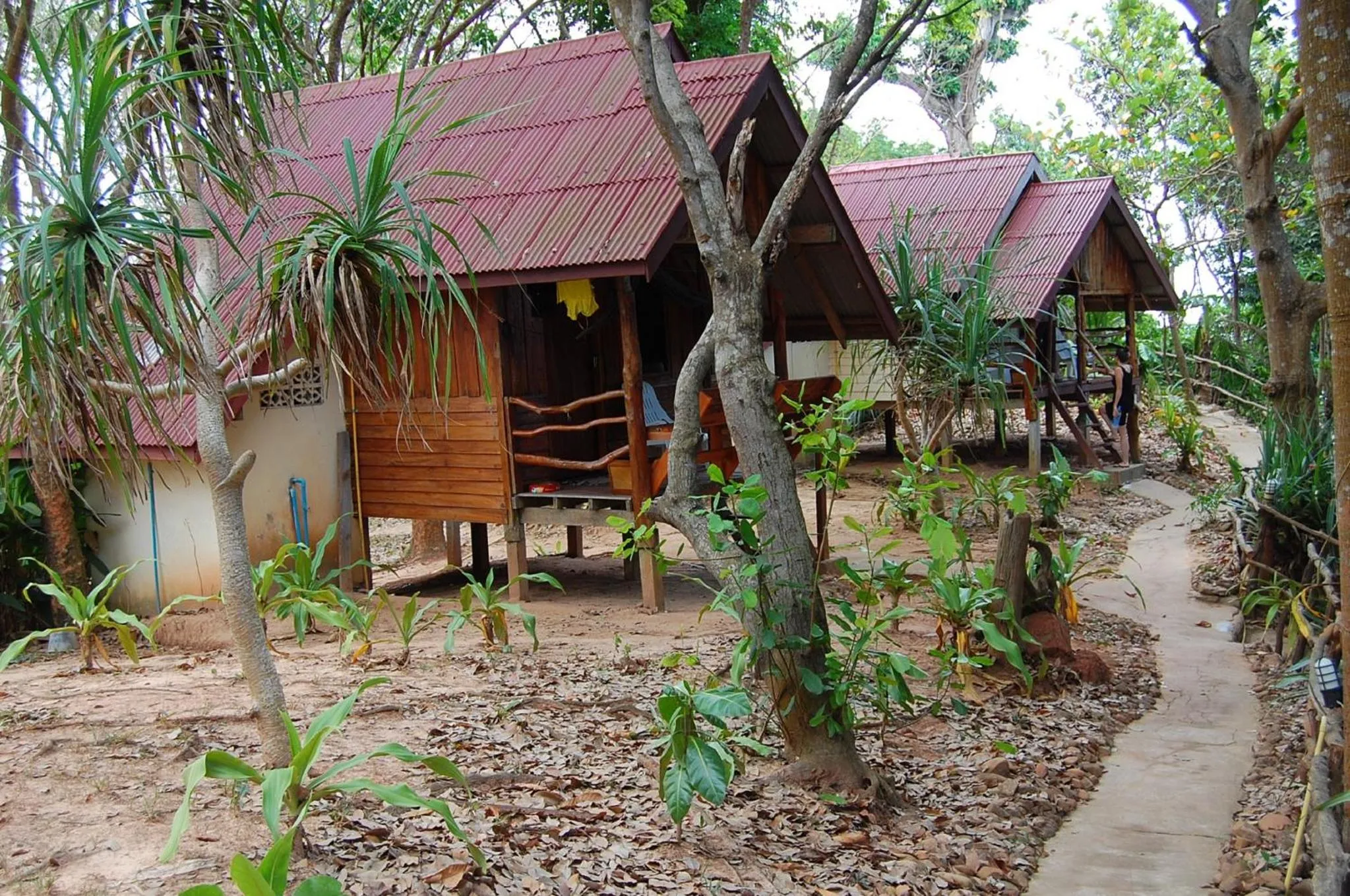 Garden in Jungle Hill Beach Bungalow