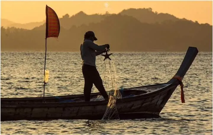 Fishing in Jungle Hill Beach Bungalow